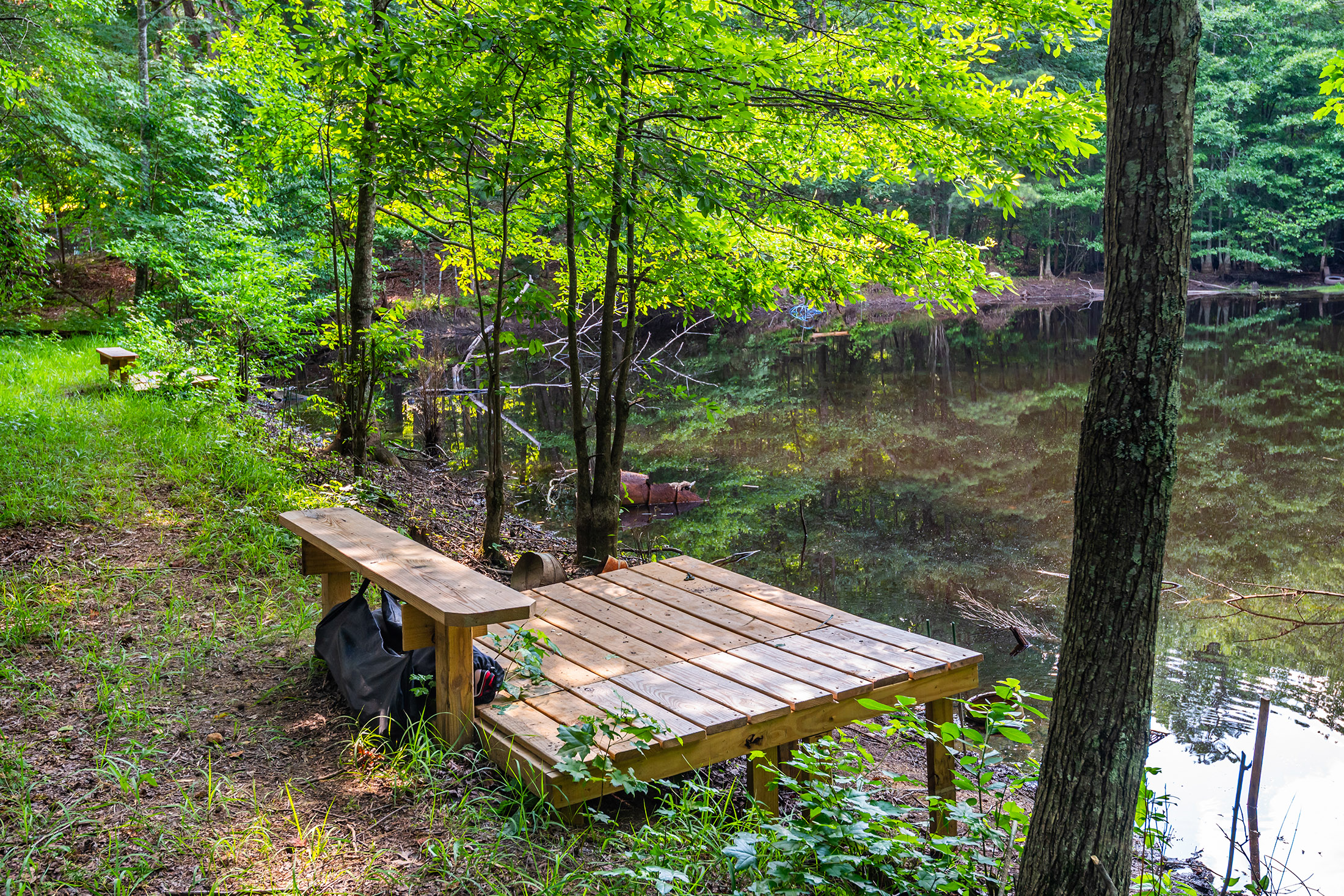 Extraordinary 11.48-Acre Estate in the Heart of East Cobb - 物件實景