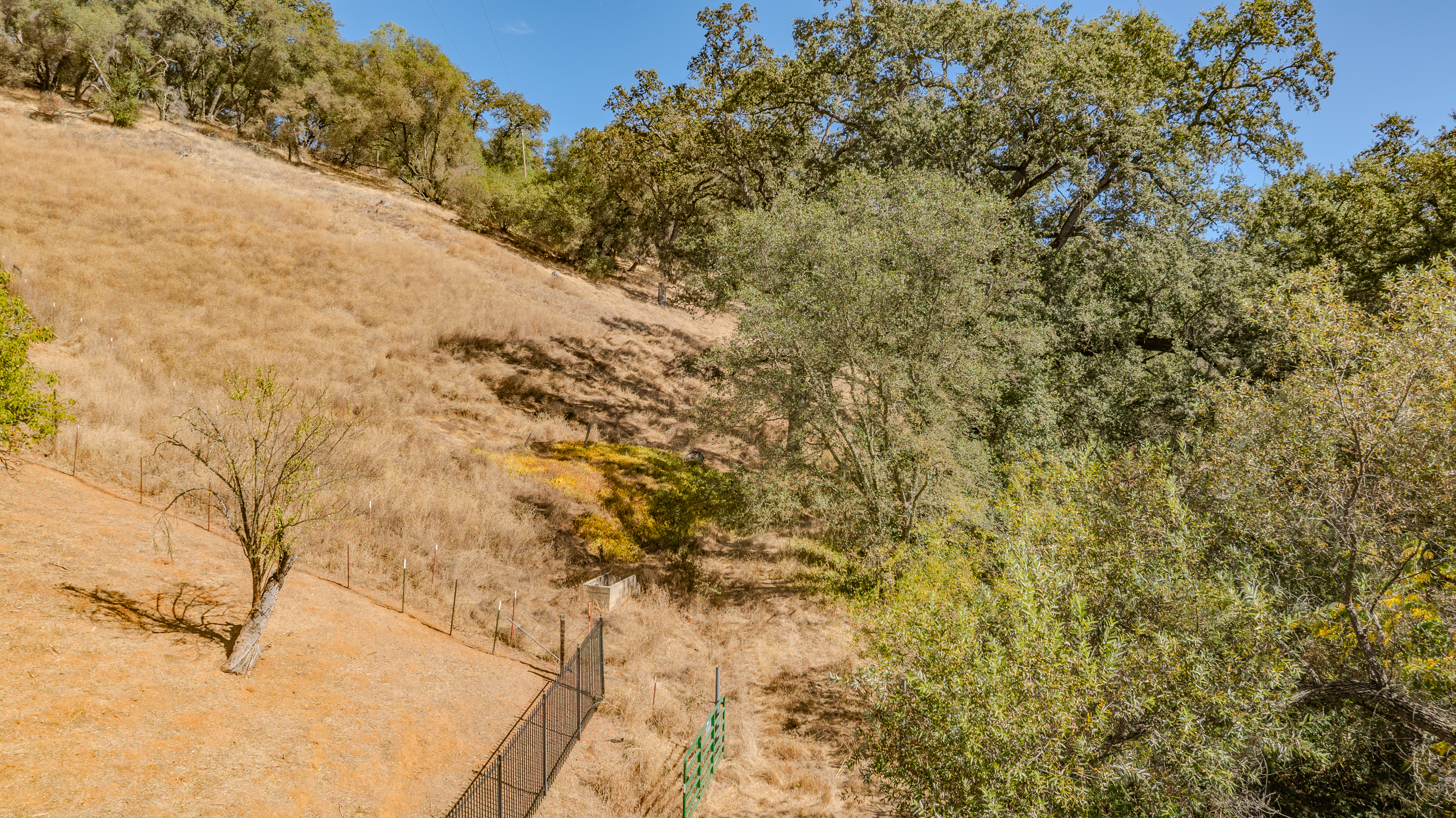  Creek Frontage - Views - Stroll to Downtown Sutter Creek - 物件實景