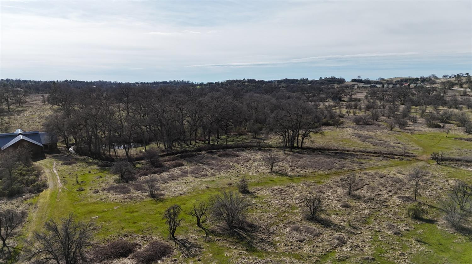 Cool, California, 95614, United States, ,Land,For Sale,1994251