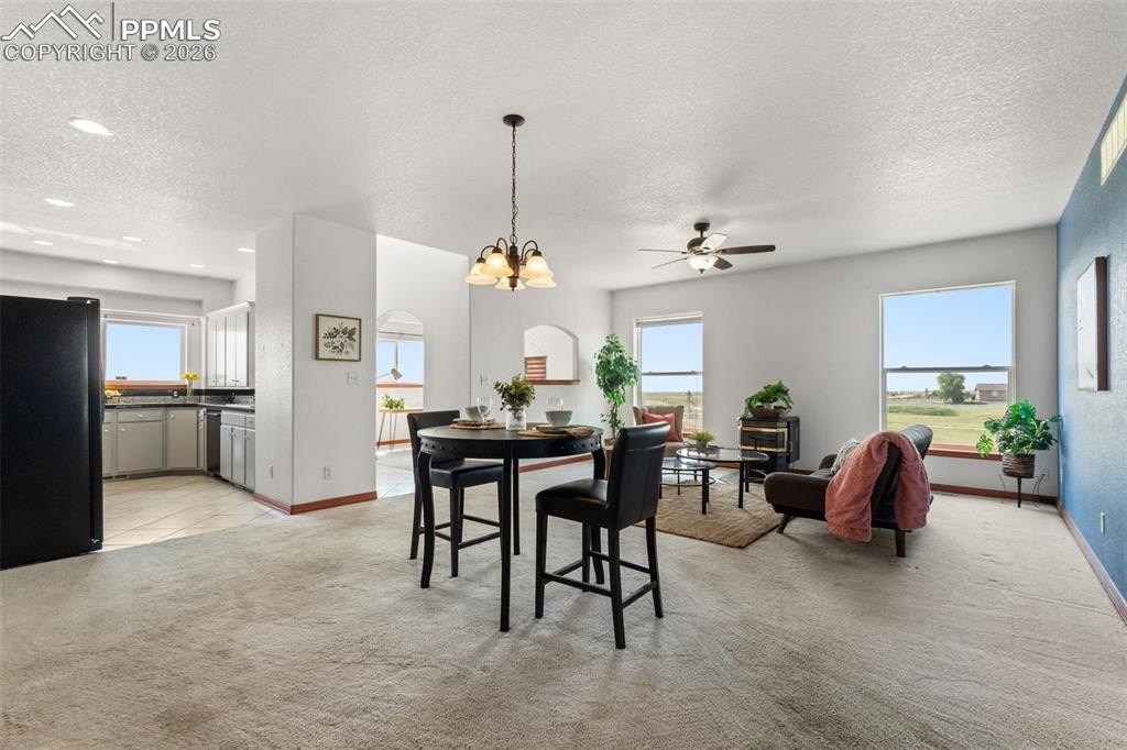 Mckissick Rd, Peyton, CO 80831 #1