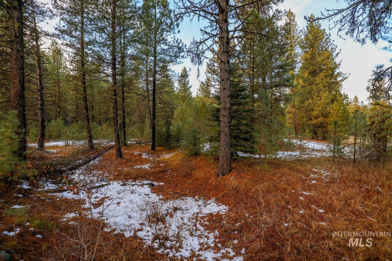 New Meadows, Idaho, 83654, United States, ,Land,For Sale,2006216