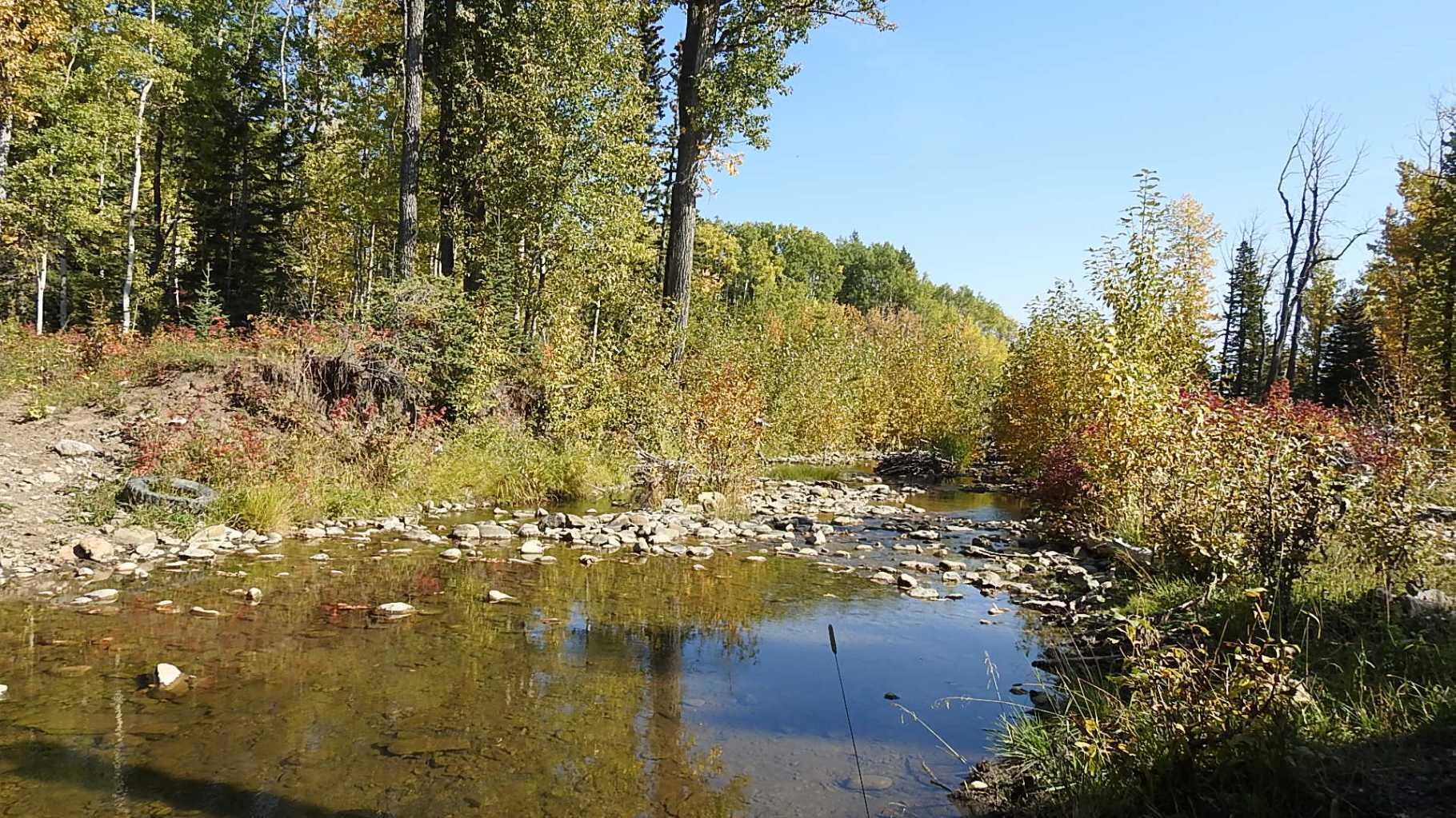 RURAL FOOTHILLS COUNTY, Alberta, T0L 1K0, CA, ,Residential,For Sale,1836944