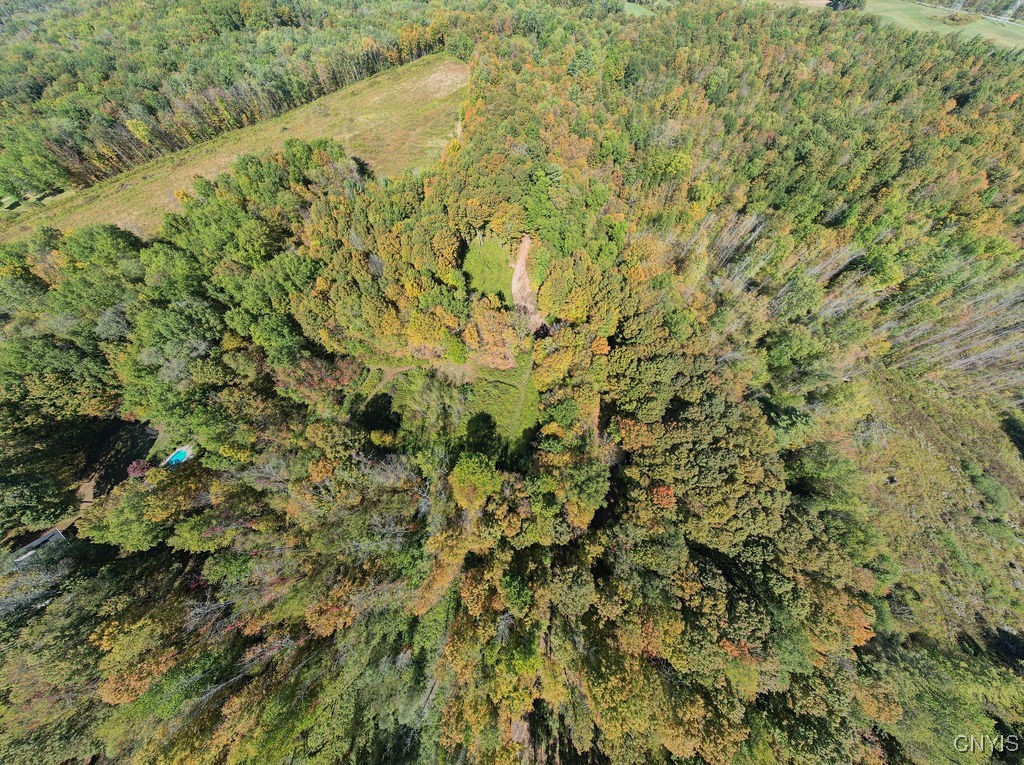 Schroeppel, New York, 13069, United States, ,Land,For Sale,1985668