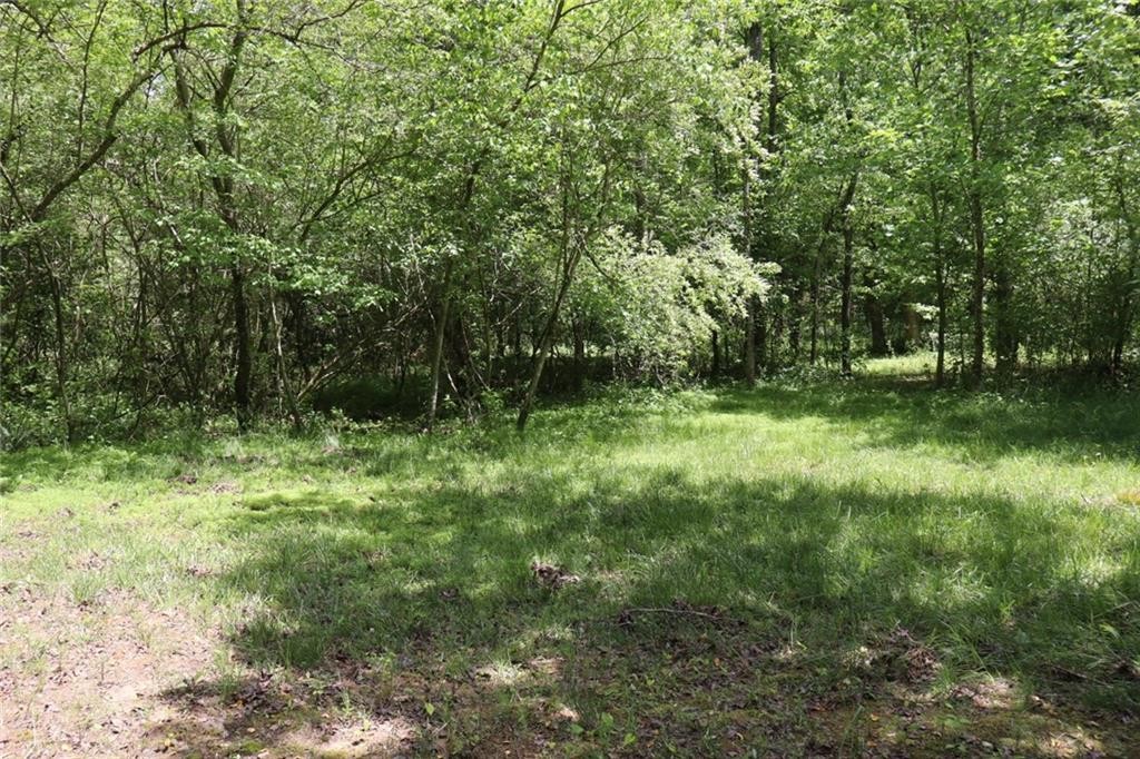 Ellijay, Georgia, 30540, United States, ,Residential,For Sale,1881390