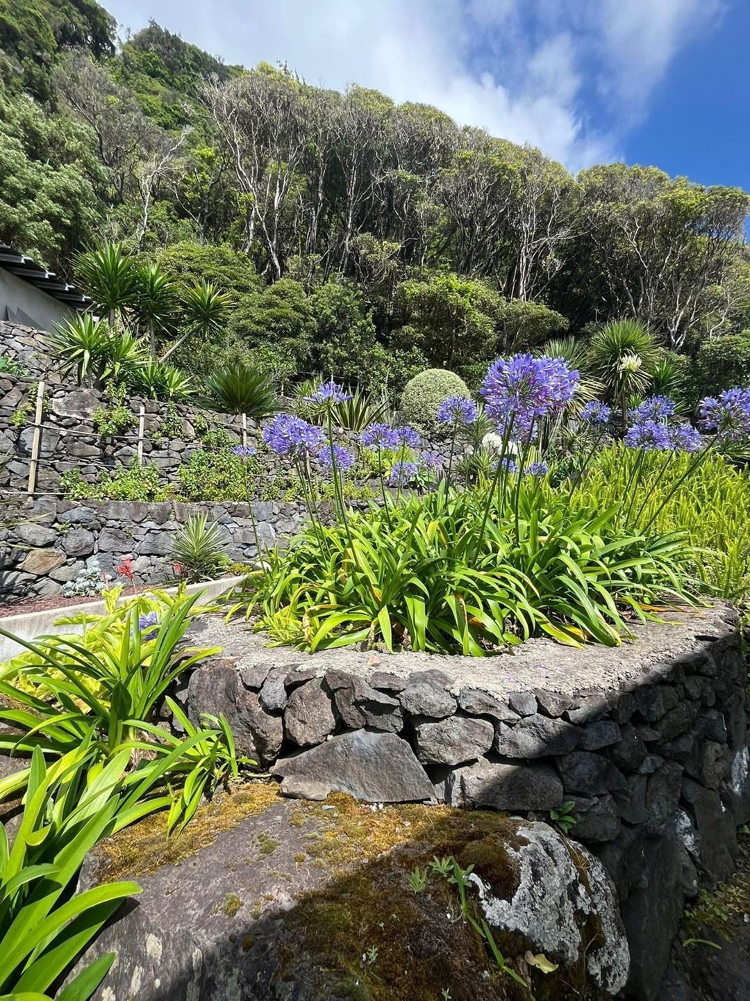 Nordeste, Ilha de São Miguel, PT, 3 Bedrooms Bedrooms, ,3 BathroomsBathrooms,Residential,For Sale,1882460