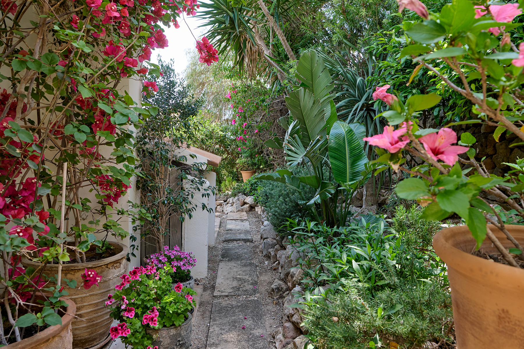  Terraced house with sea views and Puerto de Andratx - 物件實景