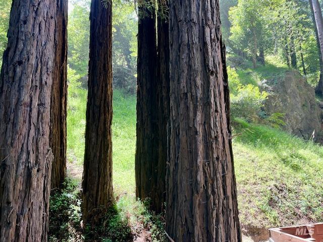 Mill Valley, California, 94941, United States, 4 Bedrooms Bedrooms, ,4 BathroomsBathrooms,Residential,For Sale,1793282