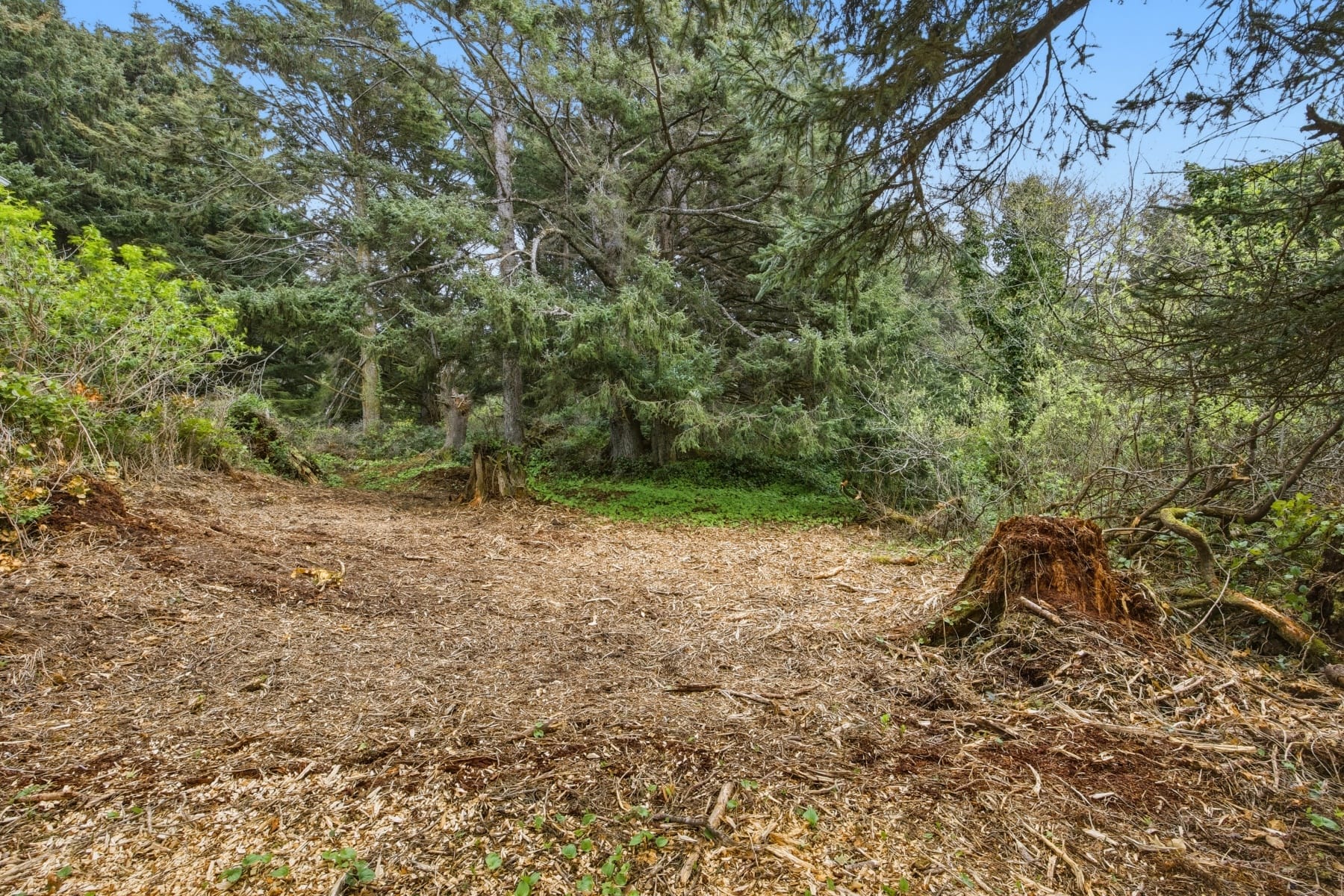  VL S Hemlock Cannon Beach, OR 97110 - 物件實景