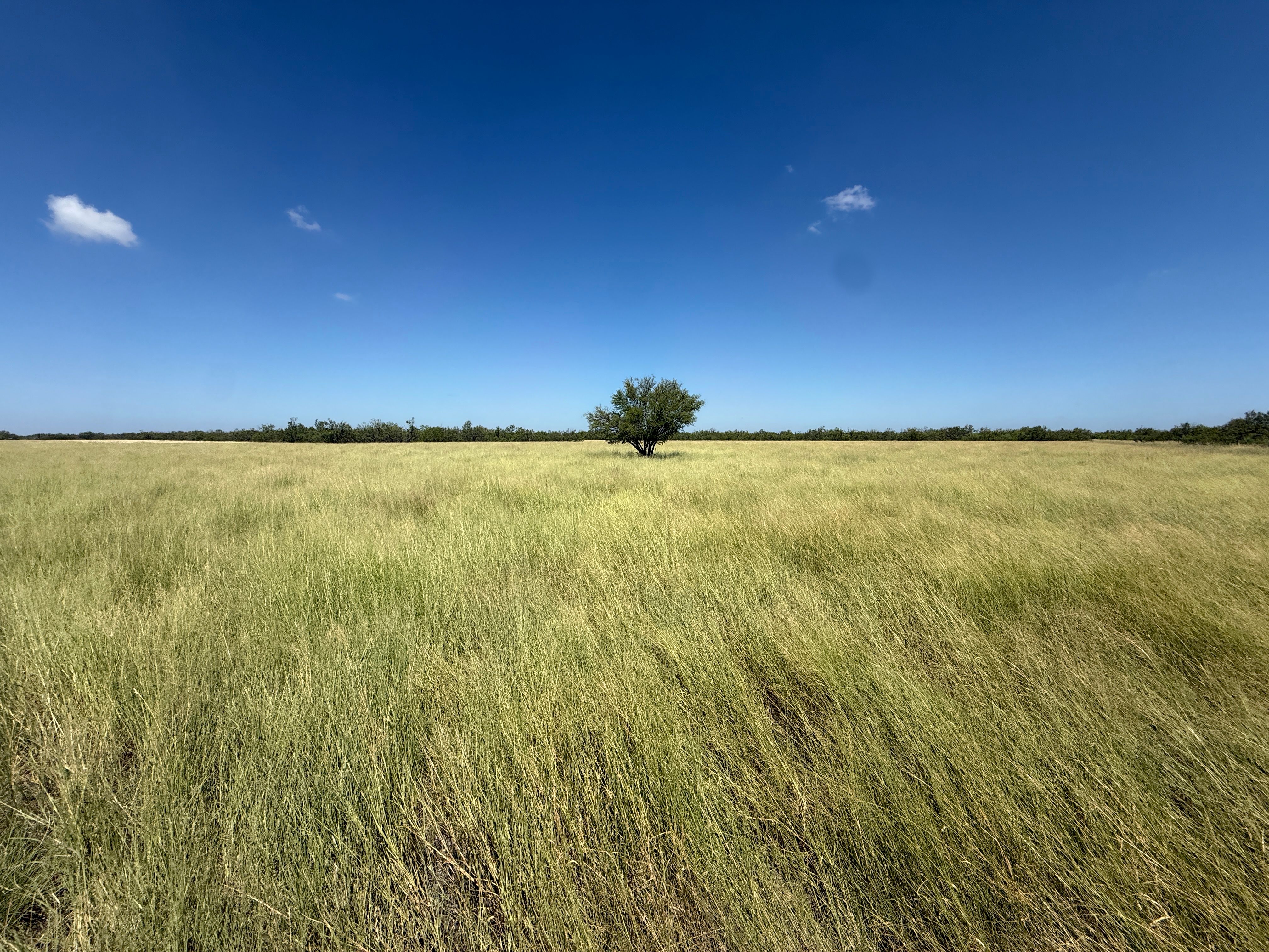  7, 902 +/- Las Moras Creek - 物件實景