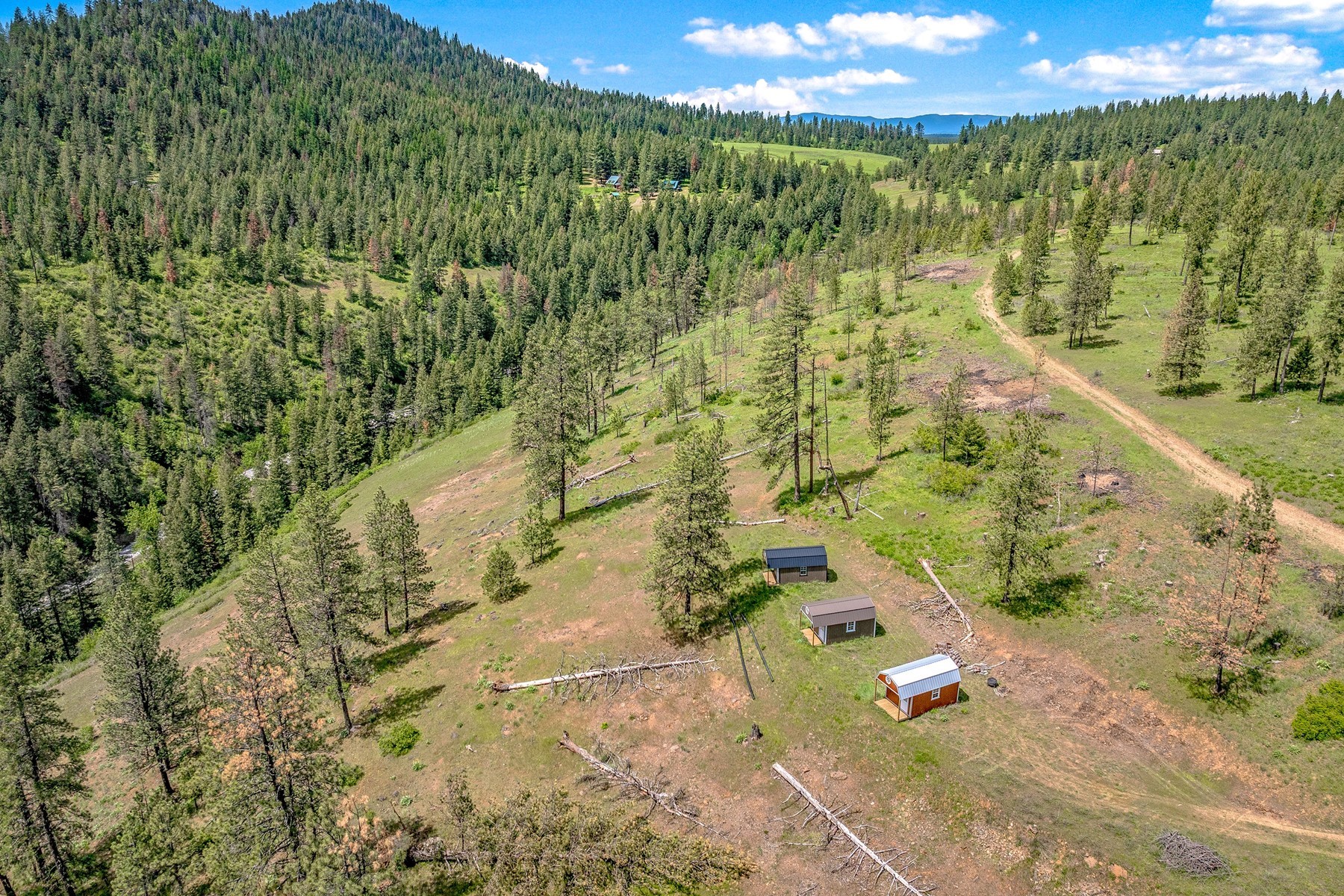 Cabins on 17ac. Surrounded by Lumber Land - 物件實景