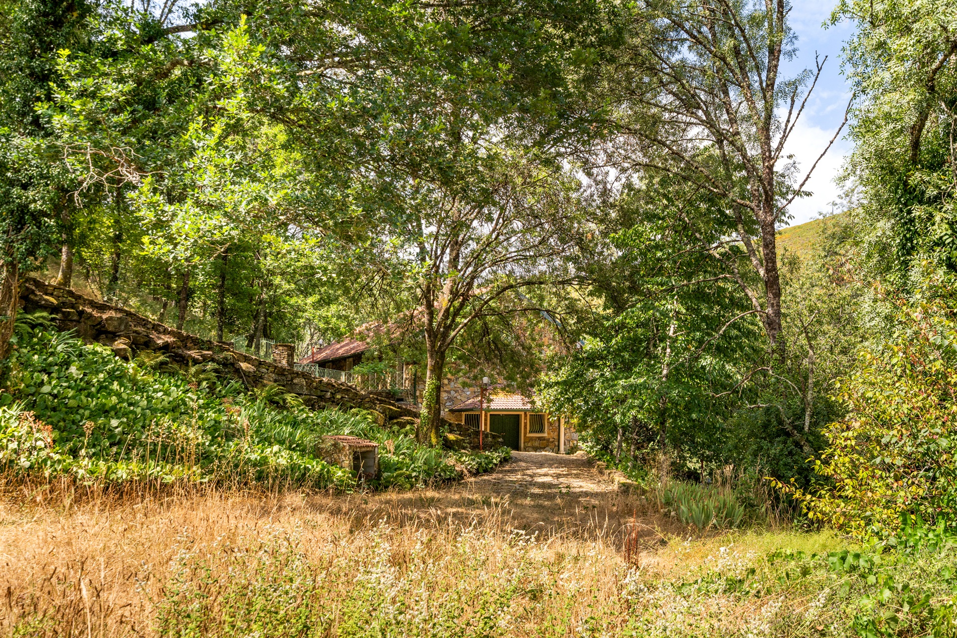  Farm, 5 bedrooms, for Sale - 物件實景