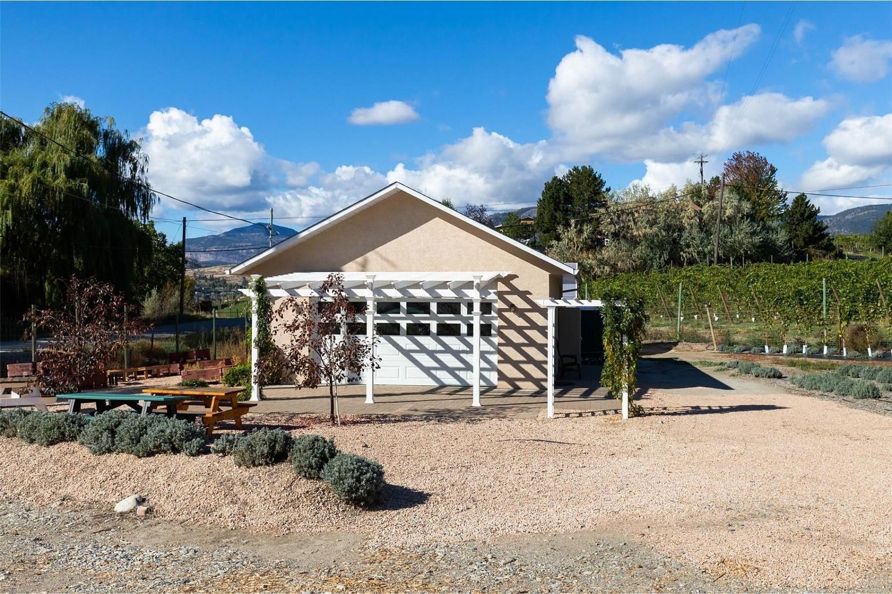  Boutique Okanagan Winery - 物件實景