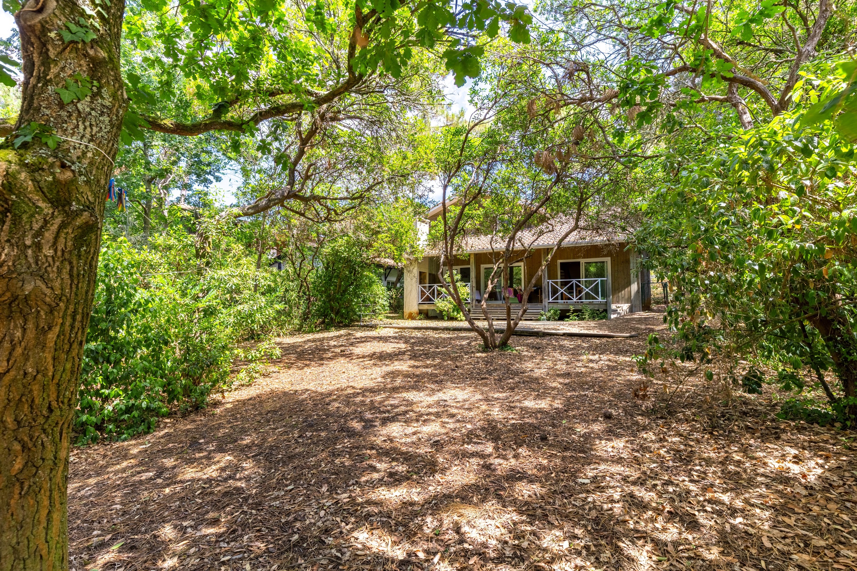  PYLA-SUR-MER – FAMILY VILLA 300 METRES FROM THE BEACH - 物件實景