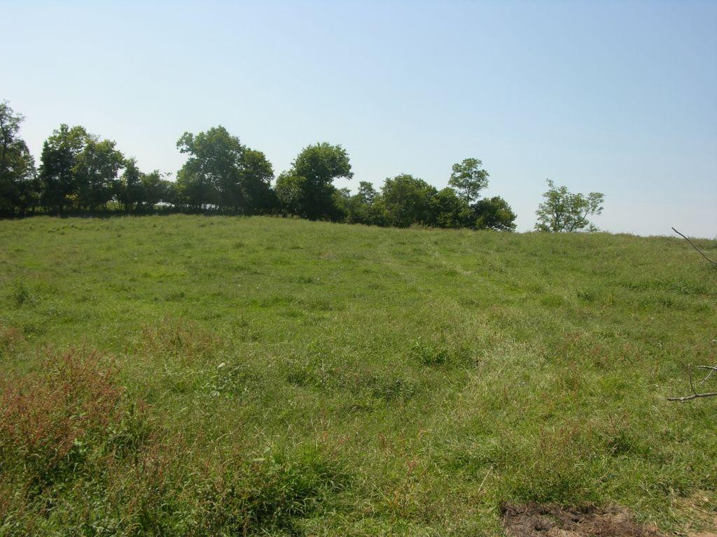 1400 Curtis Pike, Richmond, Kentucky, 40475, United States, ,Land,For Sale,1400 Curtis Pike,1616978