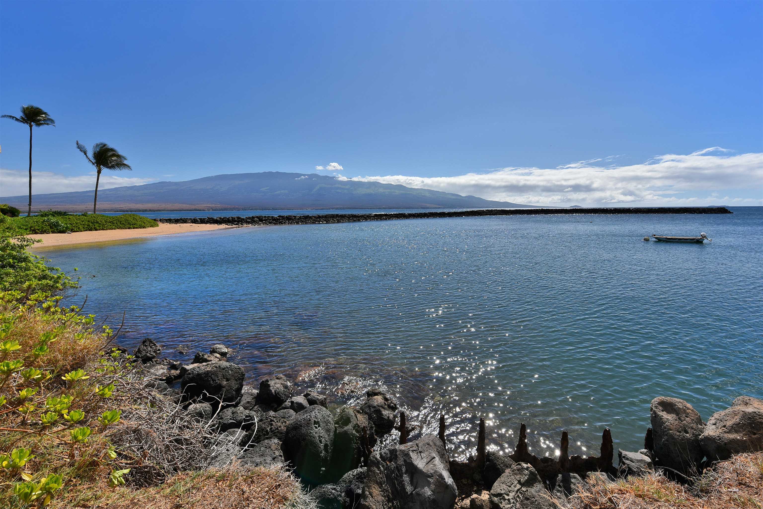 Wailuku, Hawaii, 96793, United States, 1 Bedroom Bedrooms, ,1 BathroomBathrooms,Residential,For Sale,1990319