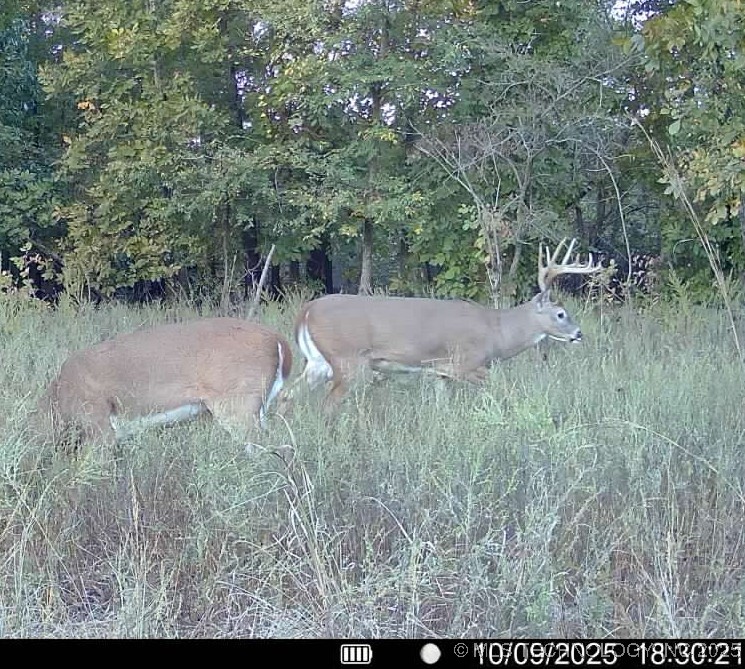 Haskell, Oklahoma, 74436, United States, ,Residential,For Sale,1989173