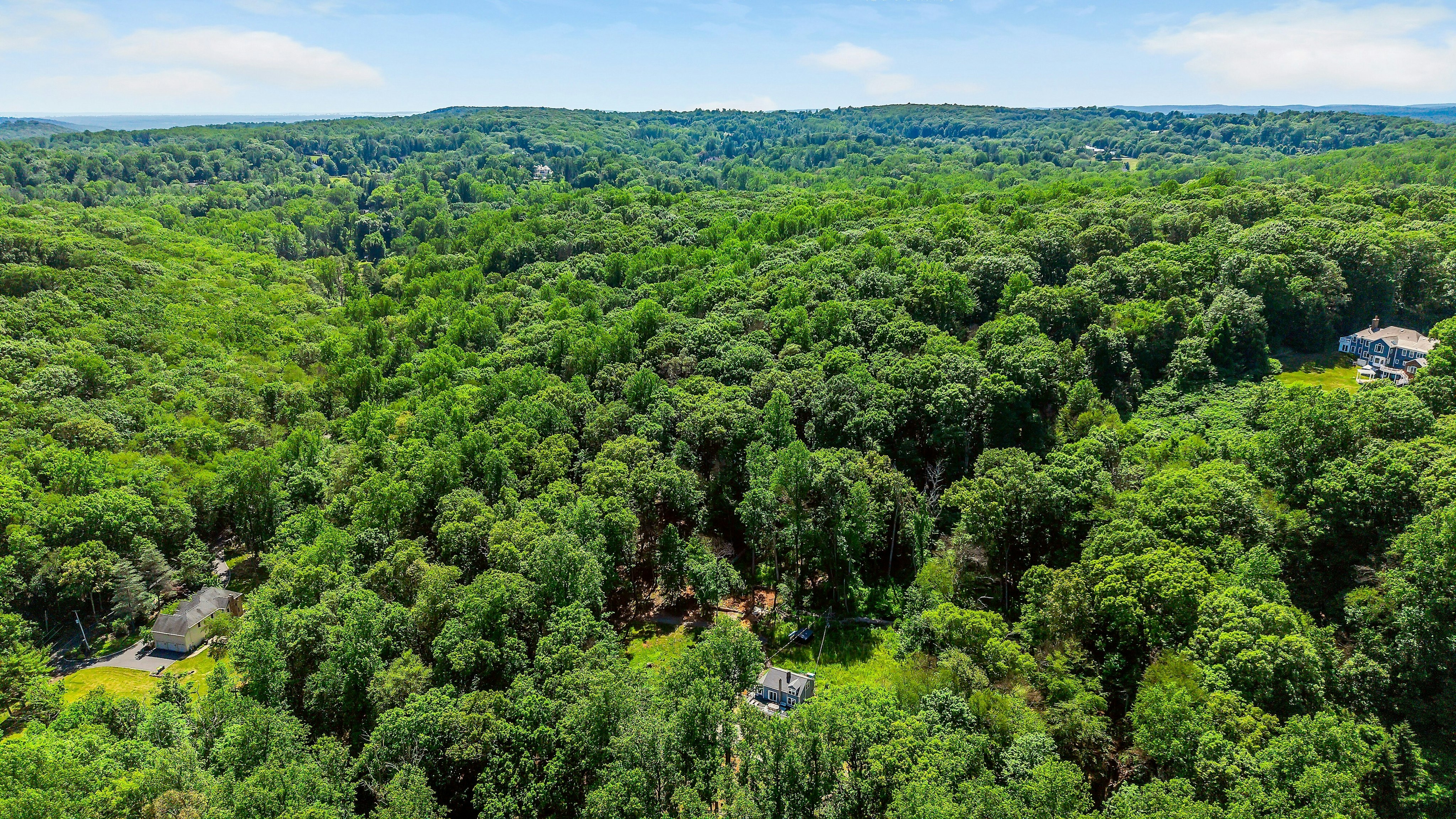  220 Hardscrabble Road, Bernardsville, NJ 07924 - 物件實景