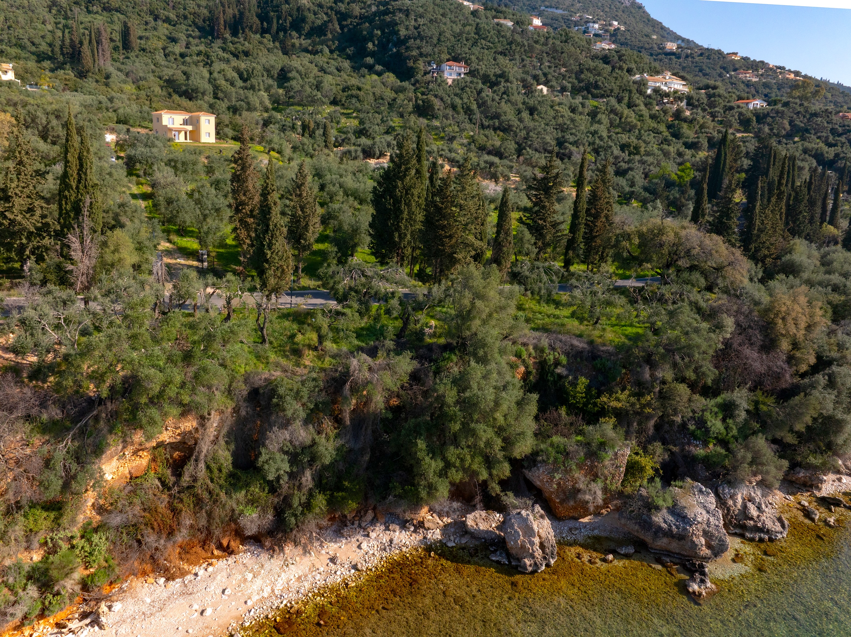  Ariti - 物件實景