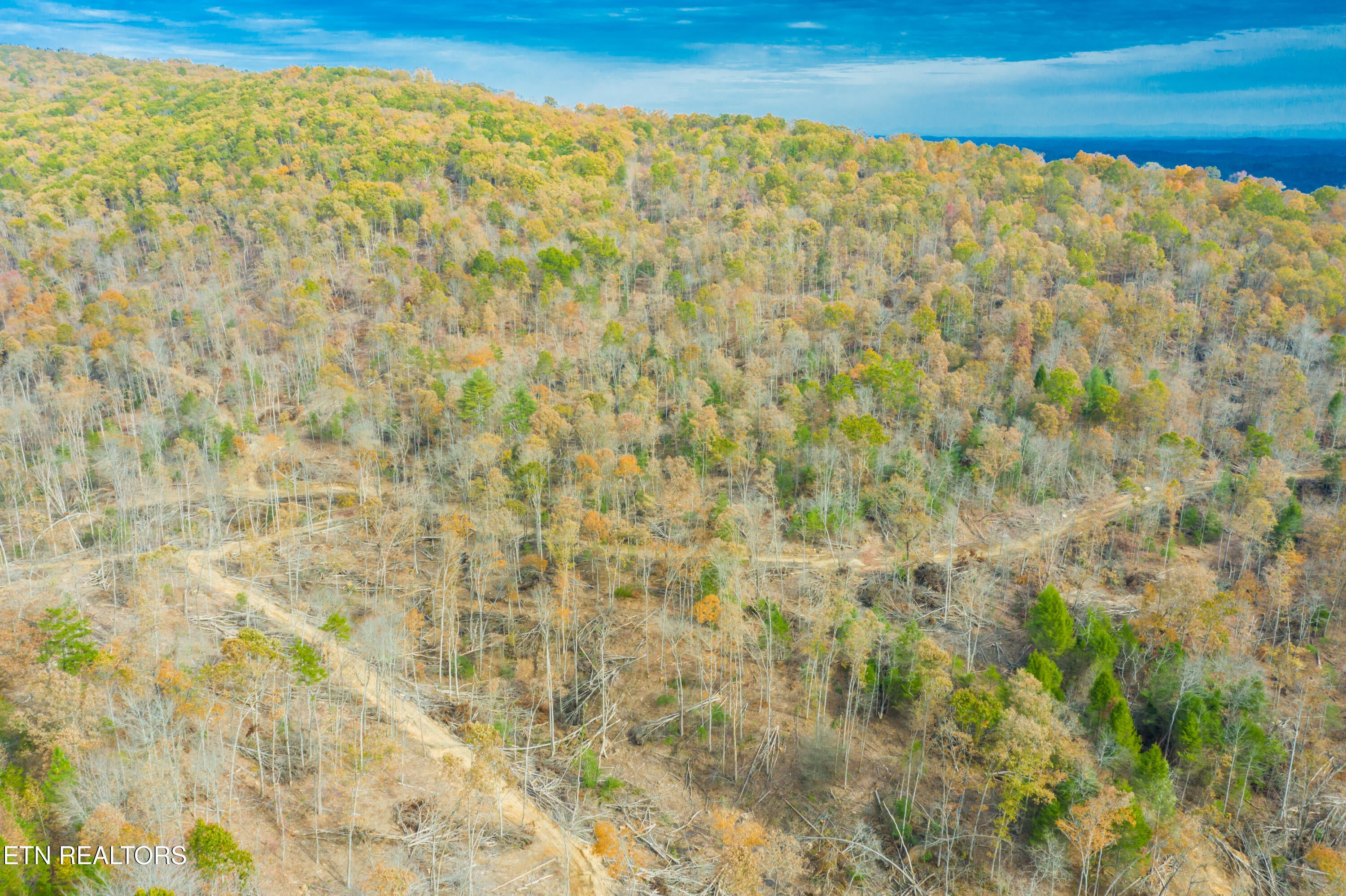 Rockwood, Tennessee, 37854, United States, ,Land,For Sale,1806468