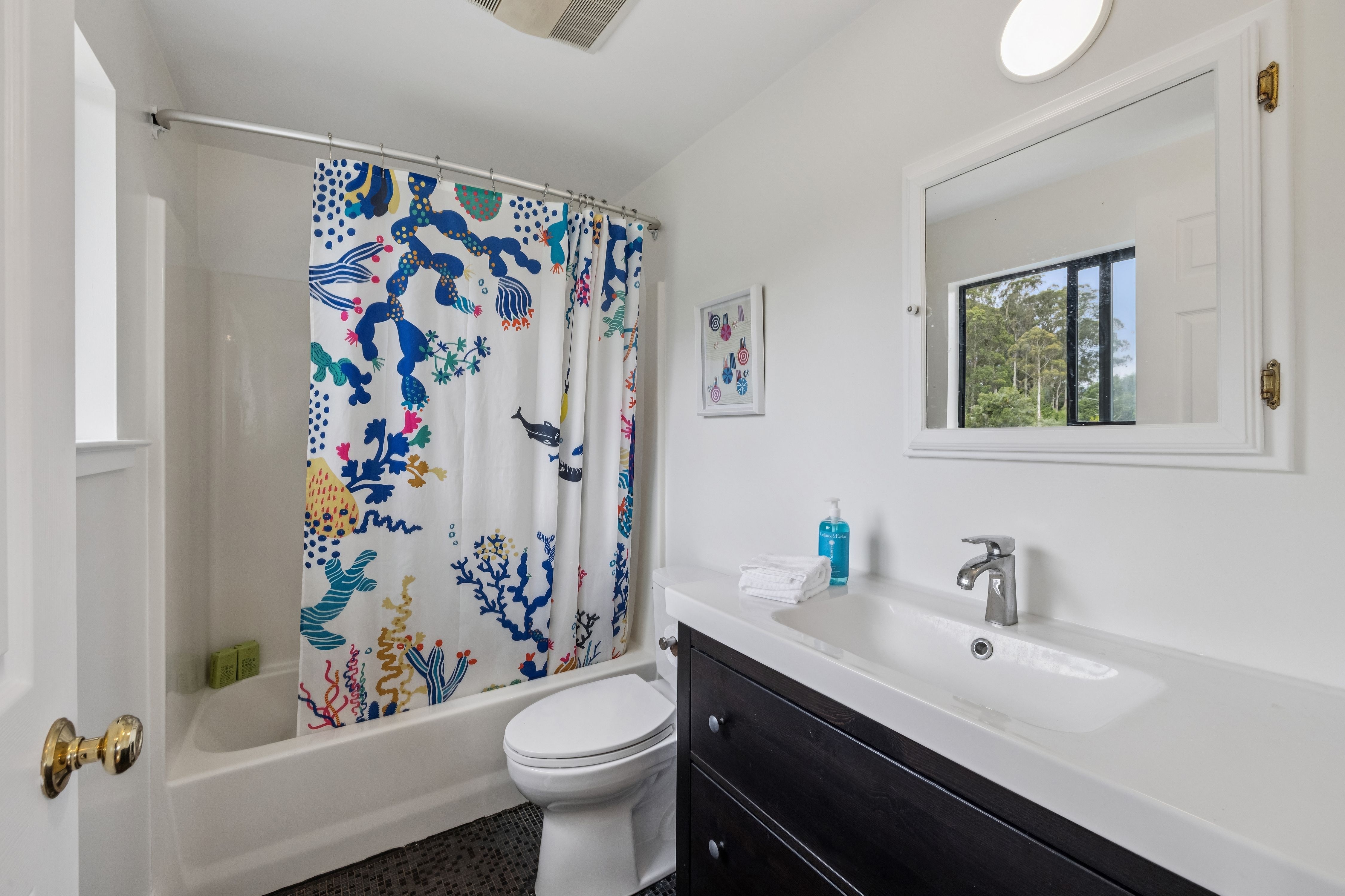  Radiant Residence, Natural Habitat in Bolinas - 物件實景