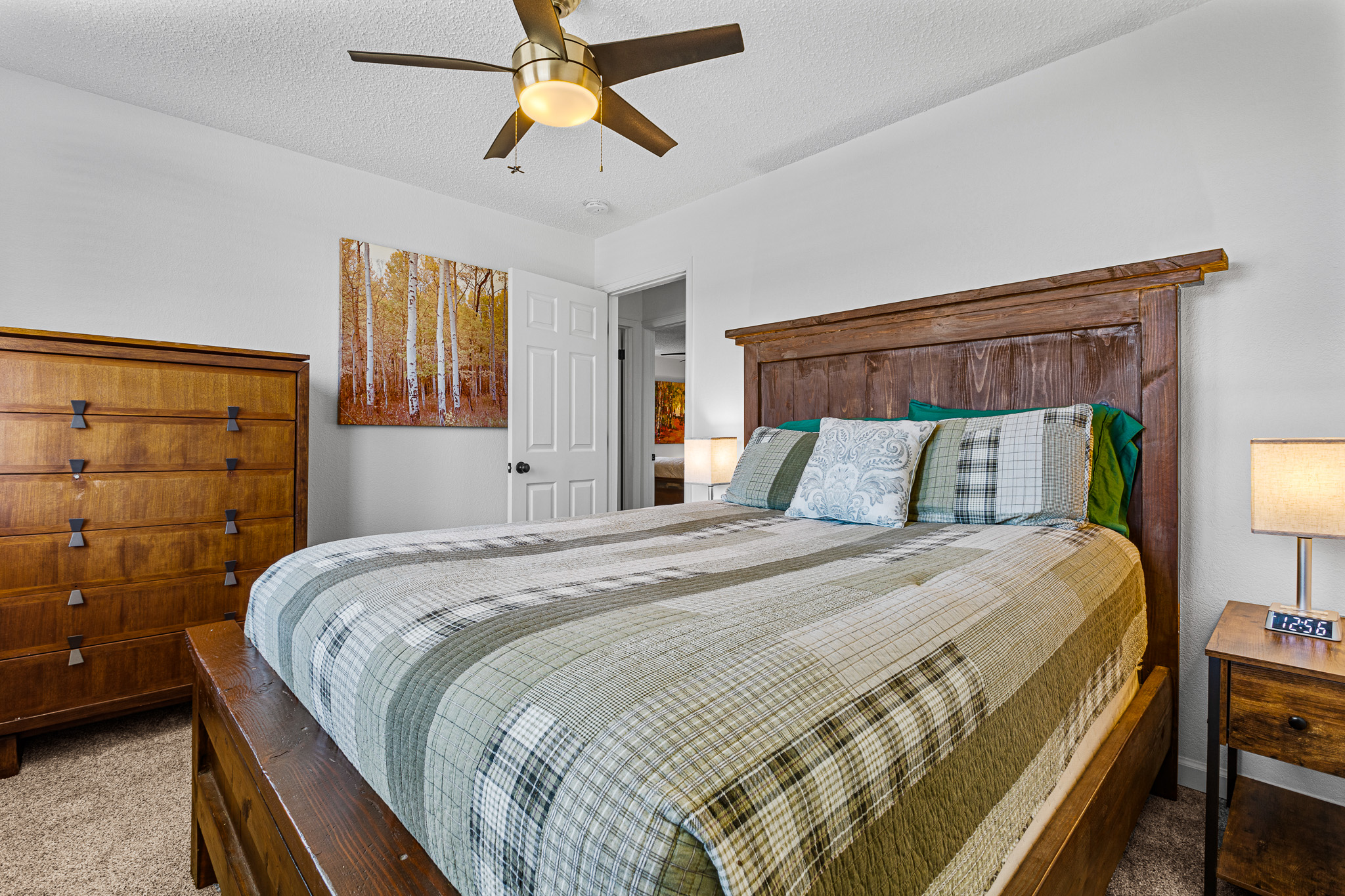  415 Fourth Street, Fairplay, CO, 80440 - 物件實景