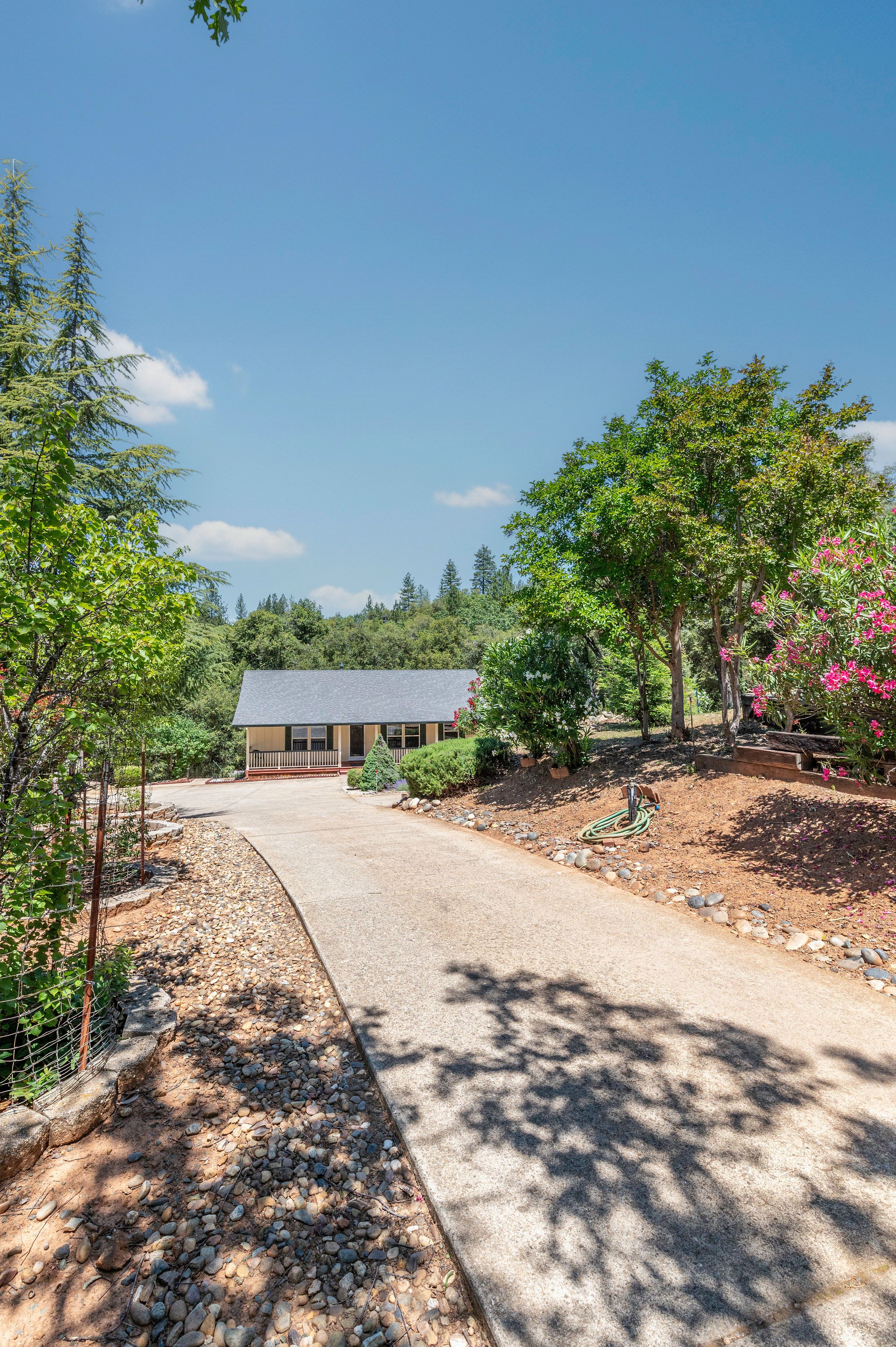 14110 Steven Lane, Pine Grove, CA 95665 - 物件實景