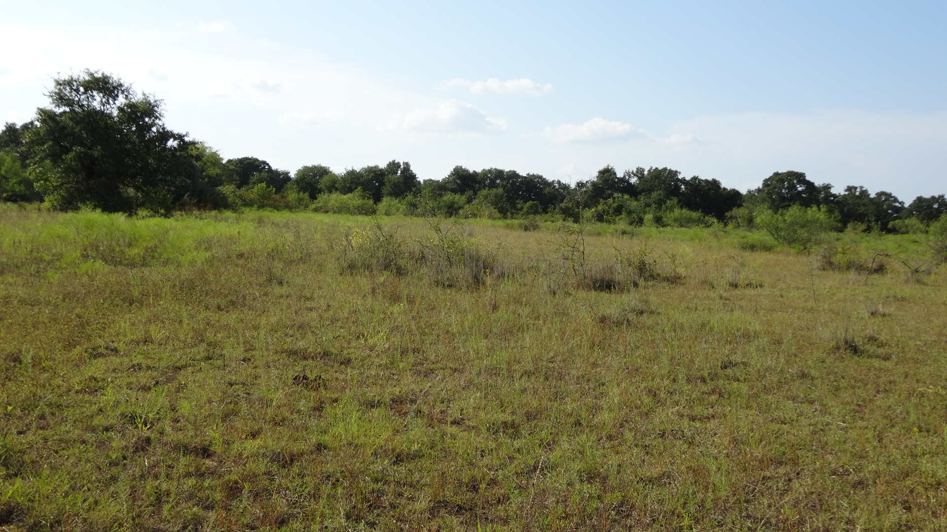 0 Highway 114, Boyd, Texas, 76023, United States, ,Residential,For Sale,0 Highway 114,1008641
