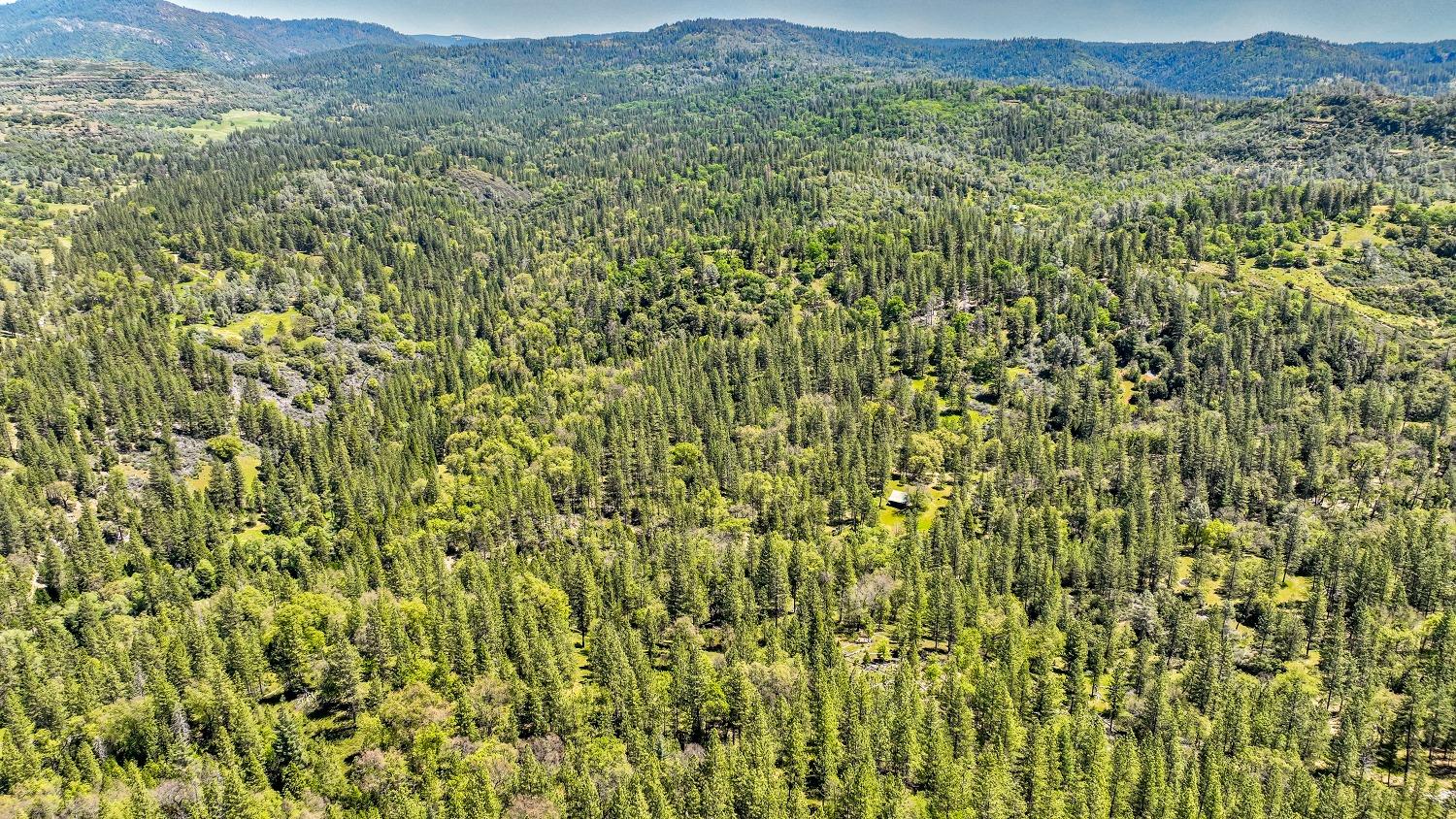 Mountain Ranch, California, 95246, United States, 1 Bedroom Bedrooms, ,1 BathroomBathrooms,Residential,For Sale,1982993