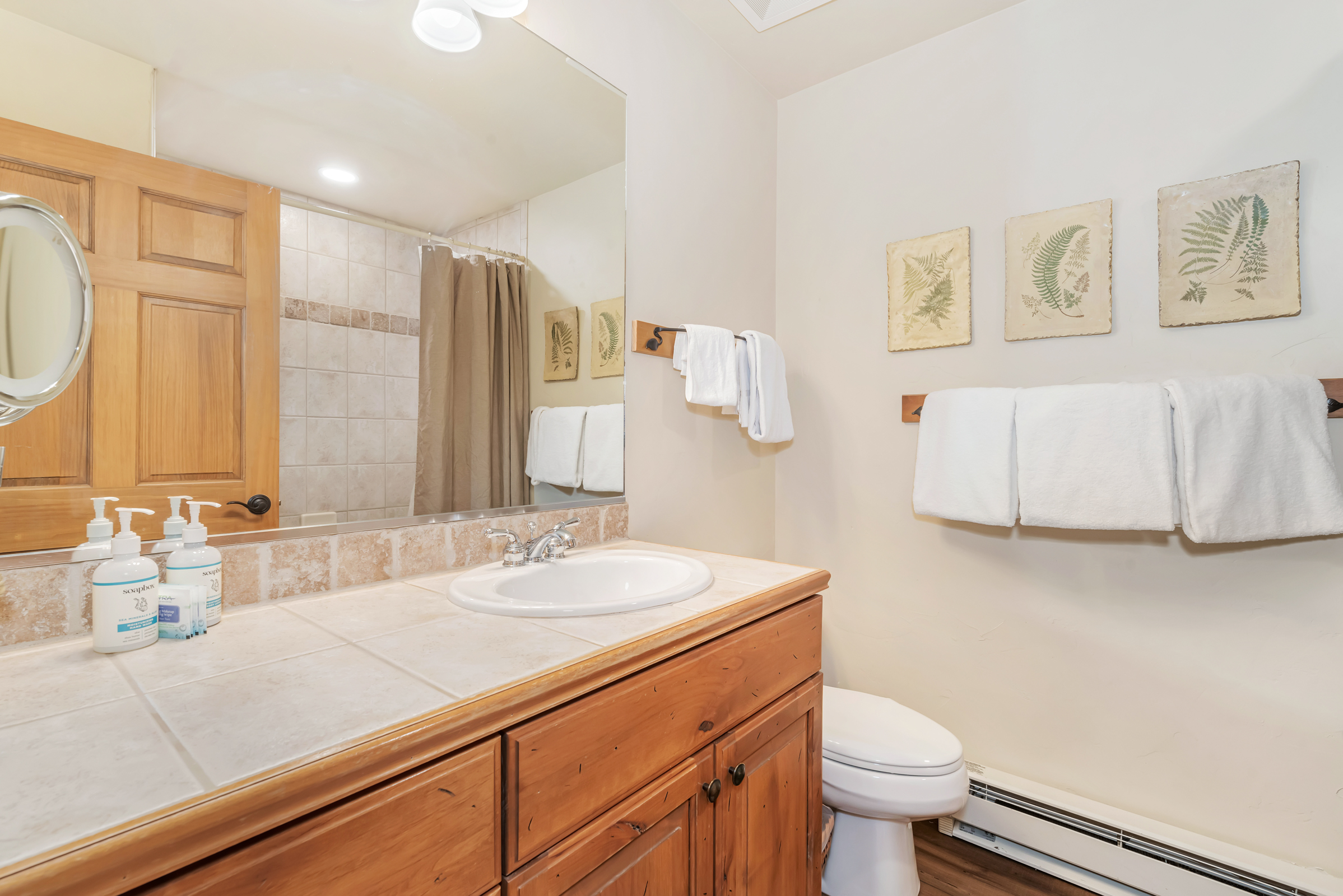  1463 Flattop Circle, Steamboat Springs, CO 80487 - 物件實景