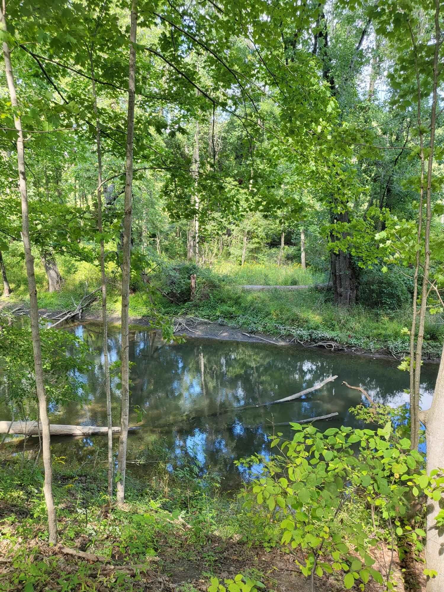 Union Pier, Michigan, 49129, United States, ,Land,For Sale,1988293