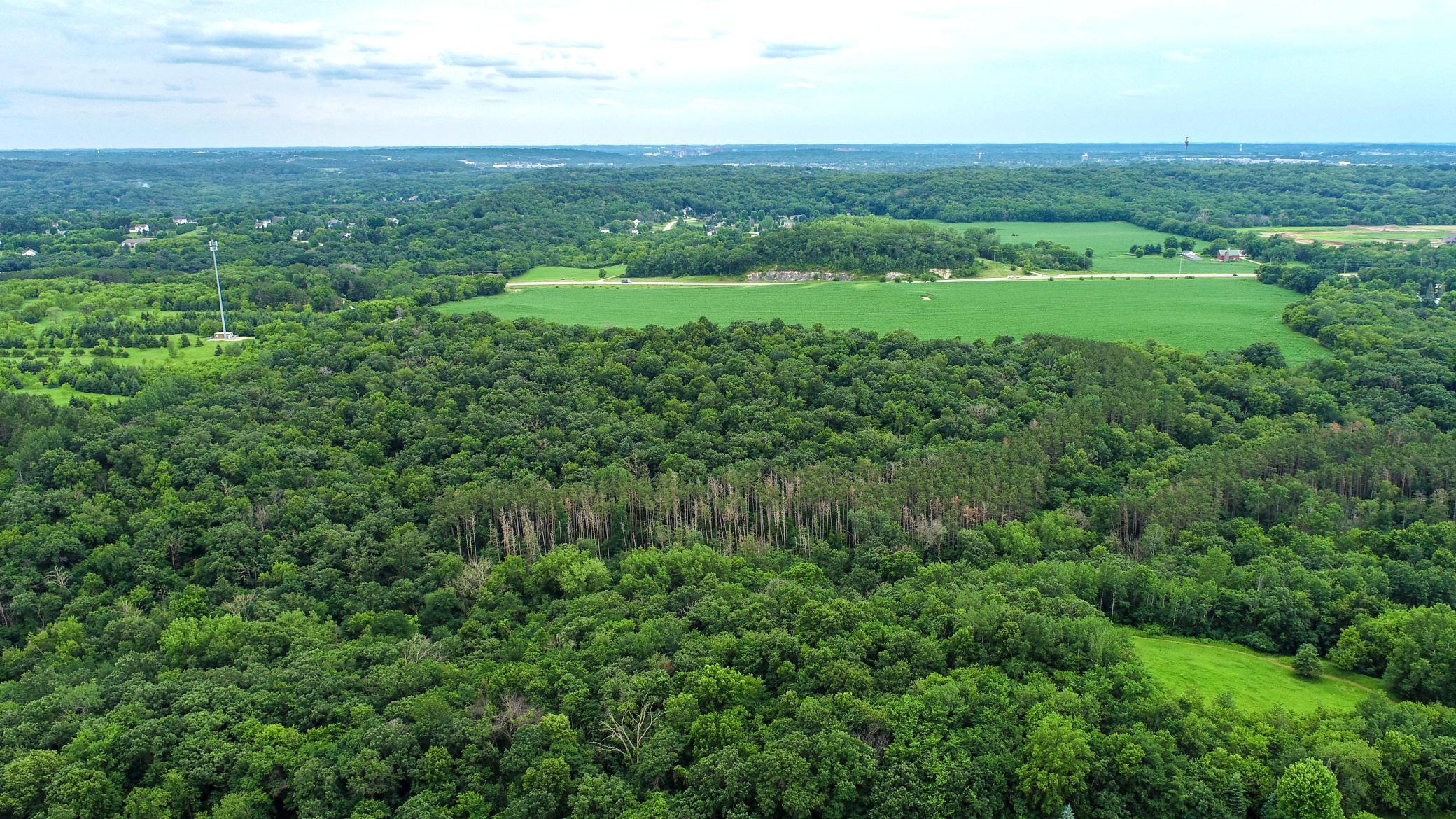 Tbd 75th Street NW, Oronoco Twp, Minnesota, 55901, United States, ,Land,For Sale,Tbd 75th Street NW,1626085