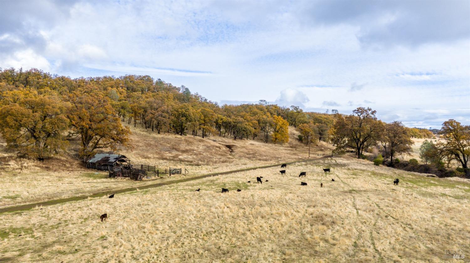 Lower Lake, California, 95457, United States, ,Land,For Sale,1976716