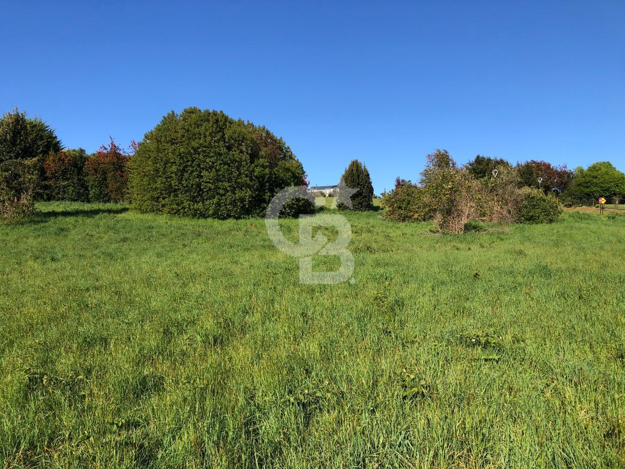 Puerto Varas, Chile, ,Residential,For Sale,1986771