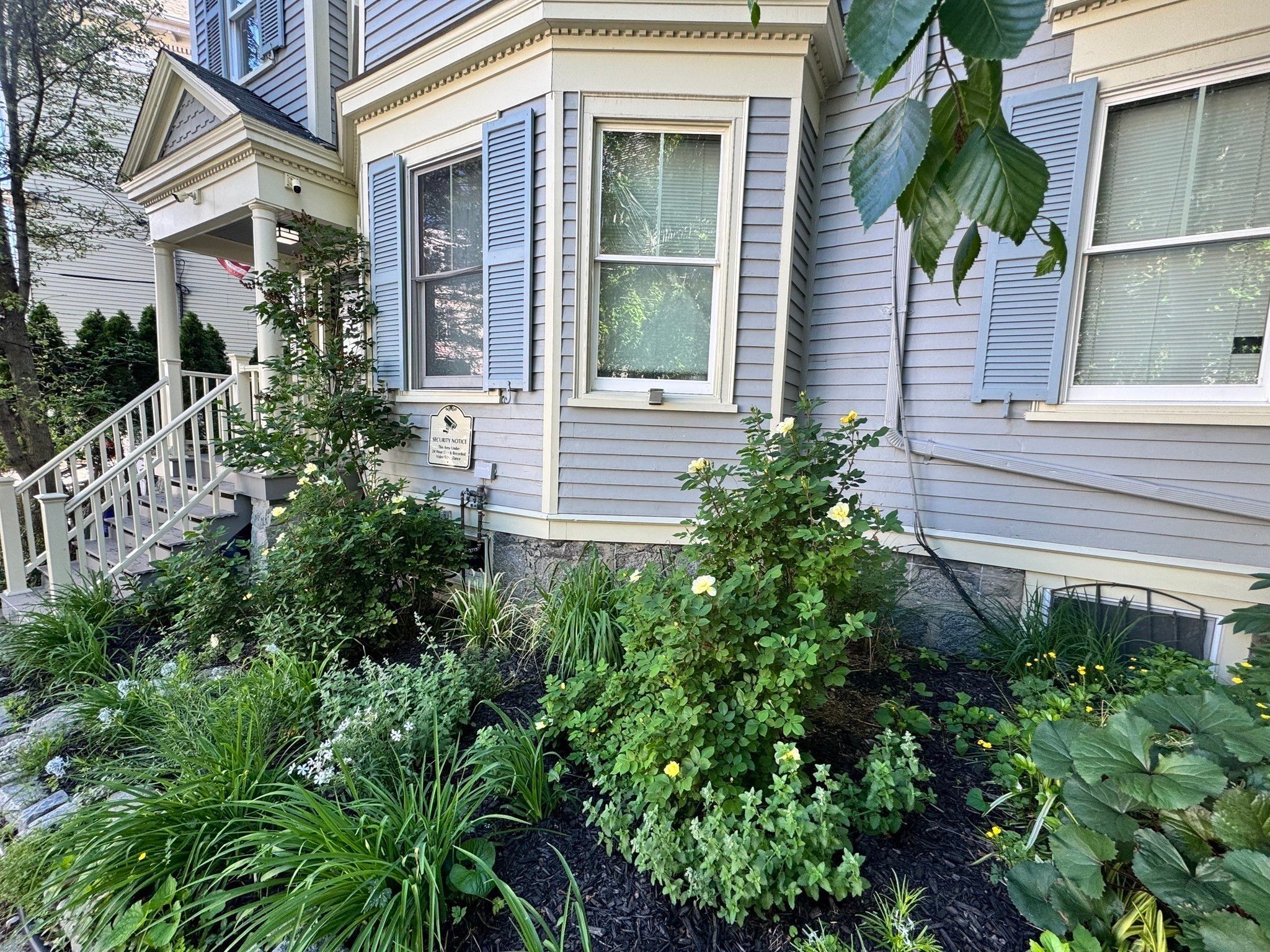  142 Calumet Street, Boston, MA, 02120 - 物件實景