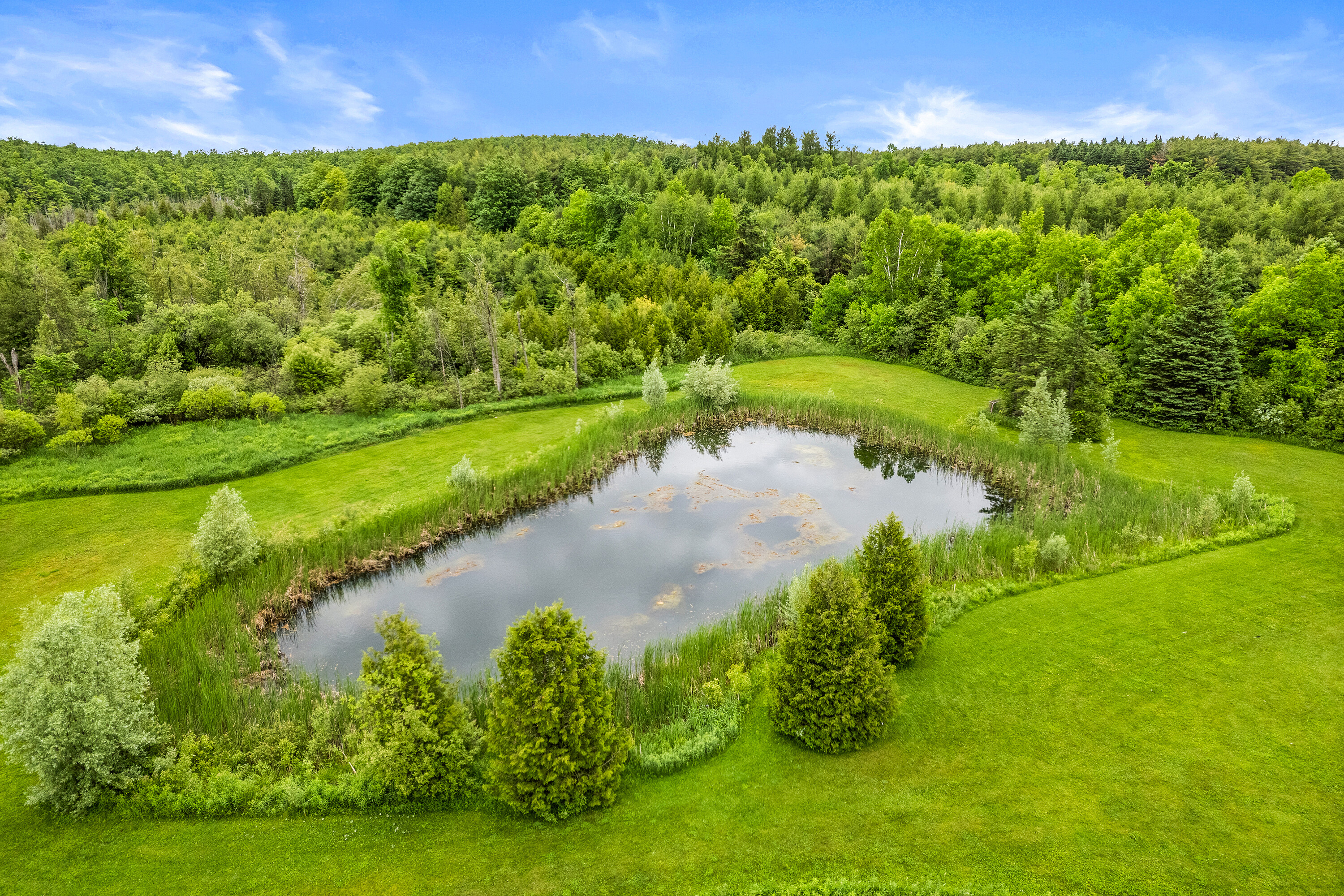  Four-Season Luxury Retreat - 物件實景