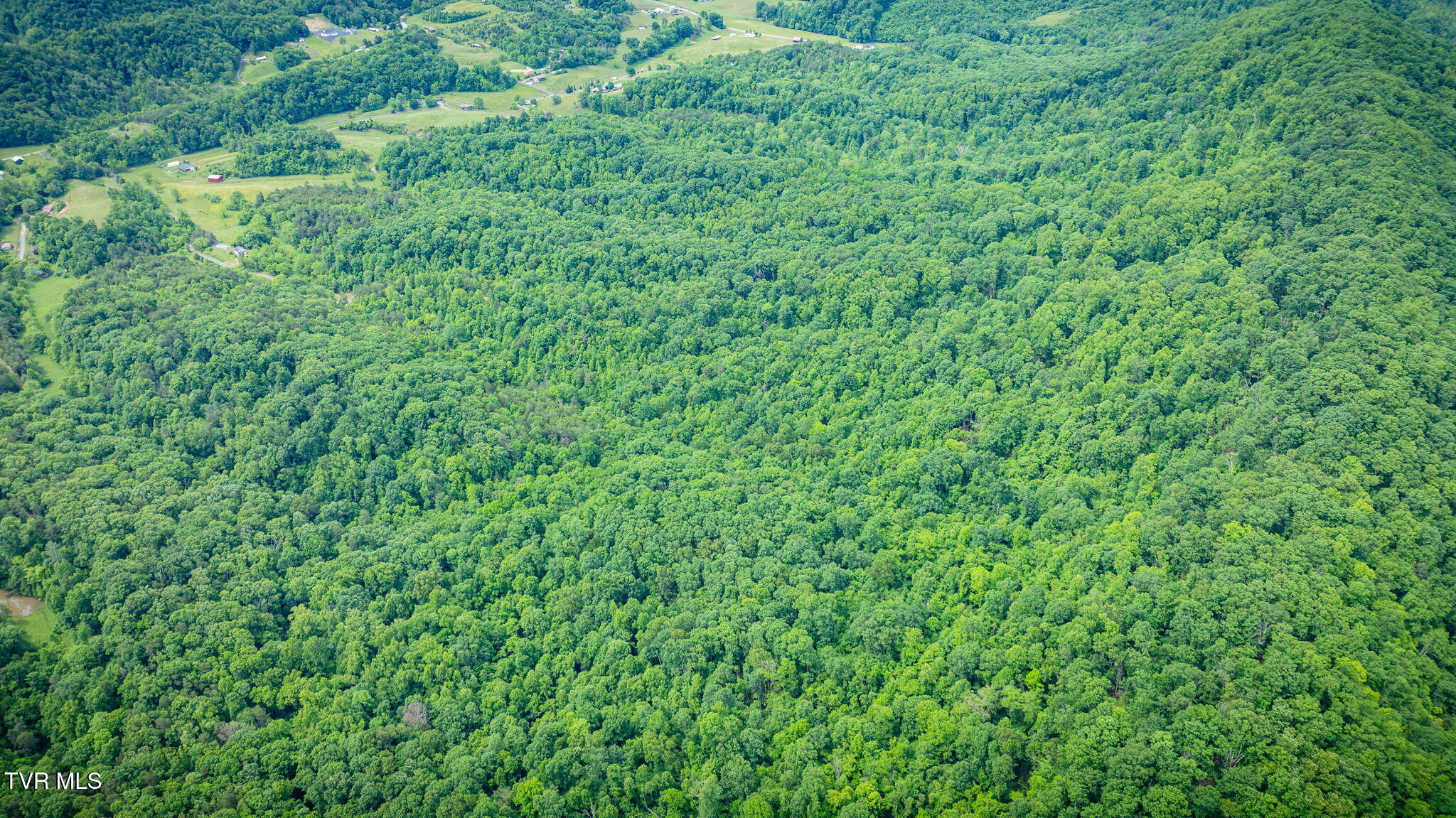 Kingsport, Tennessee, 37660, United States, 1 Bedroom Bedrooms, ,1 BathroomBathrooms,Residential,For Sale,1973991