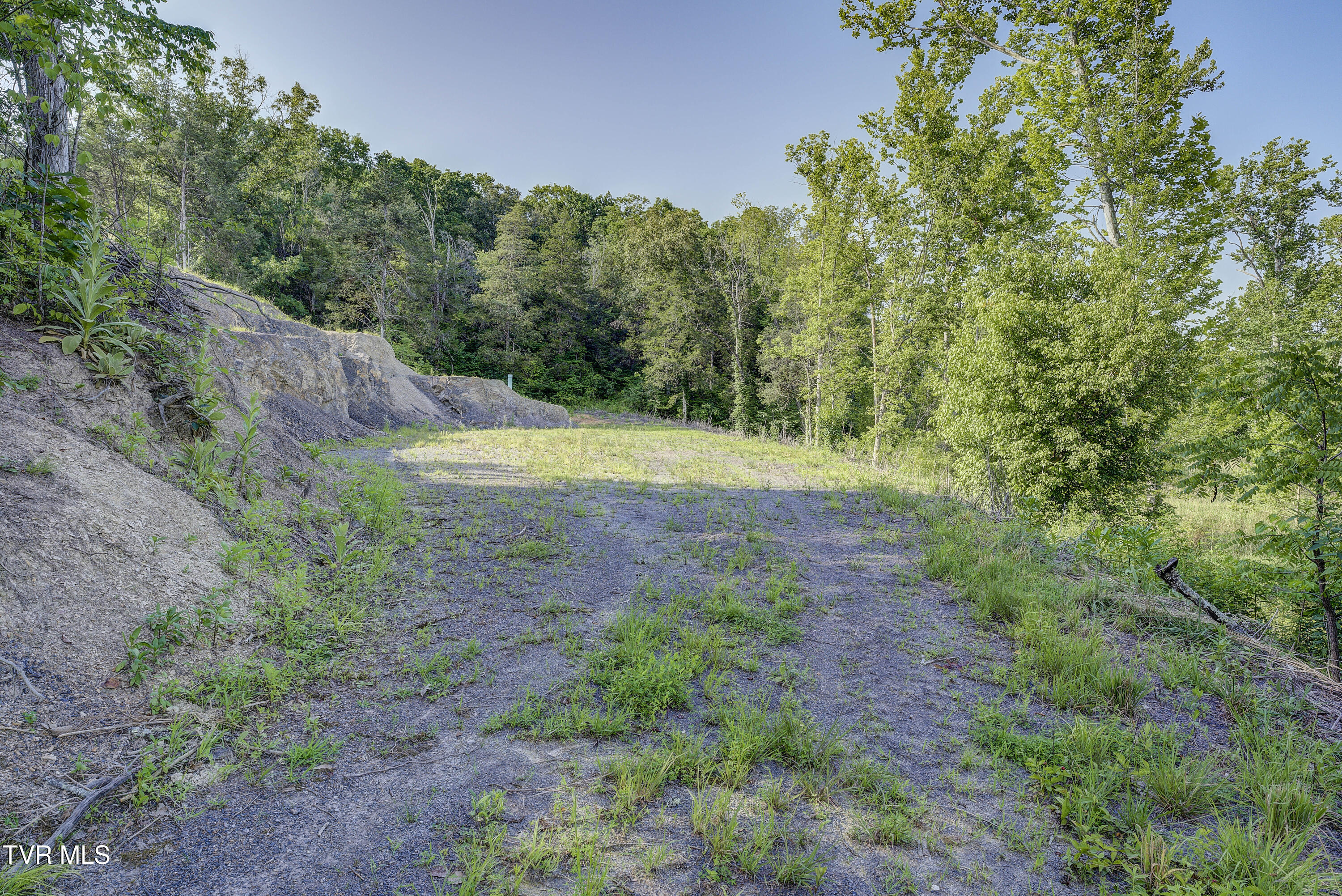 Piney Flats, Tennessee, 37686, United States, ,Land,For Sale,1983828