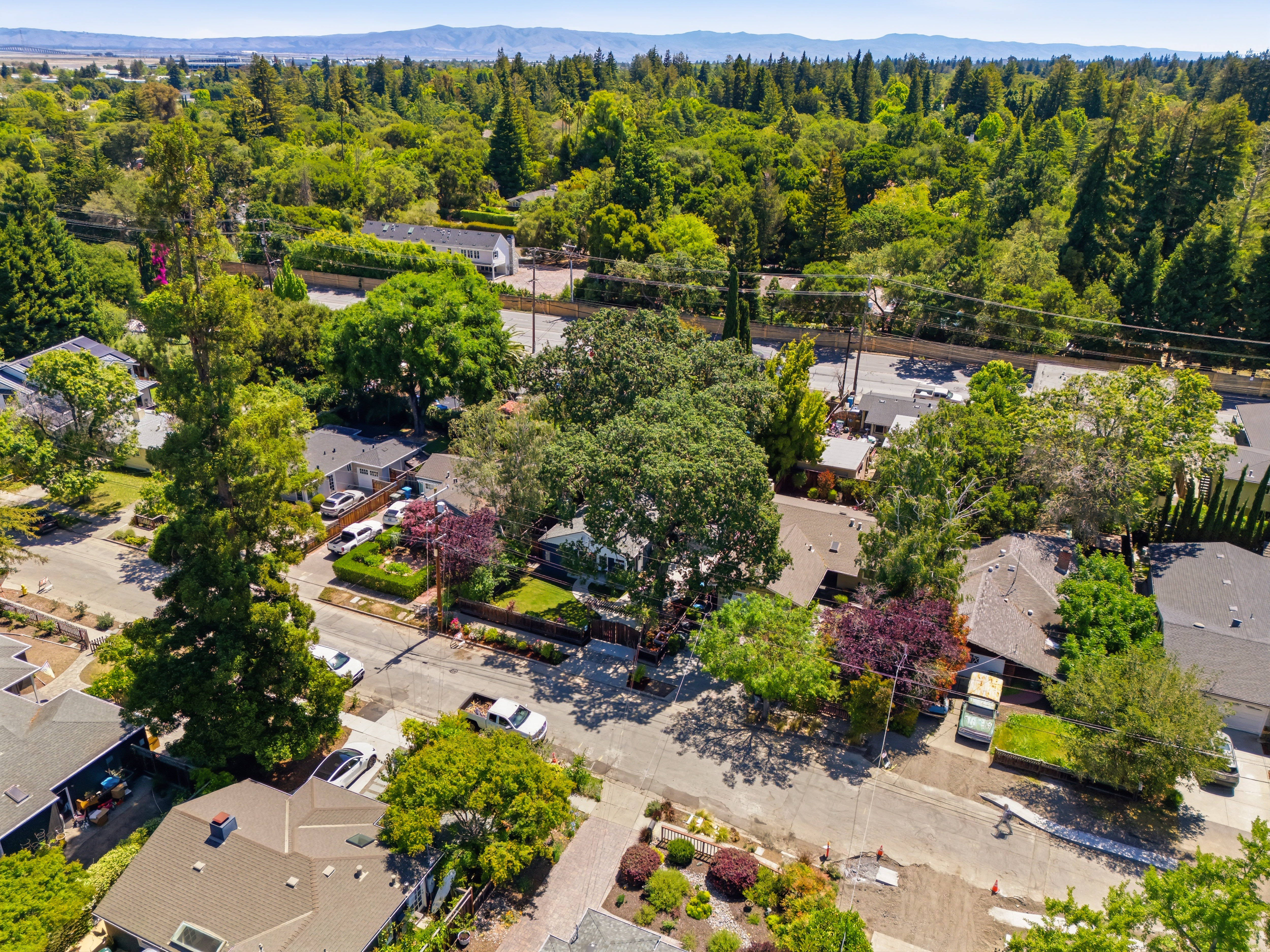  Modern Comfort & Backyard Bliss in North Fair Oaks - 物件實景
