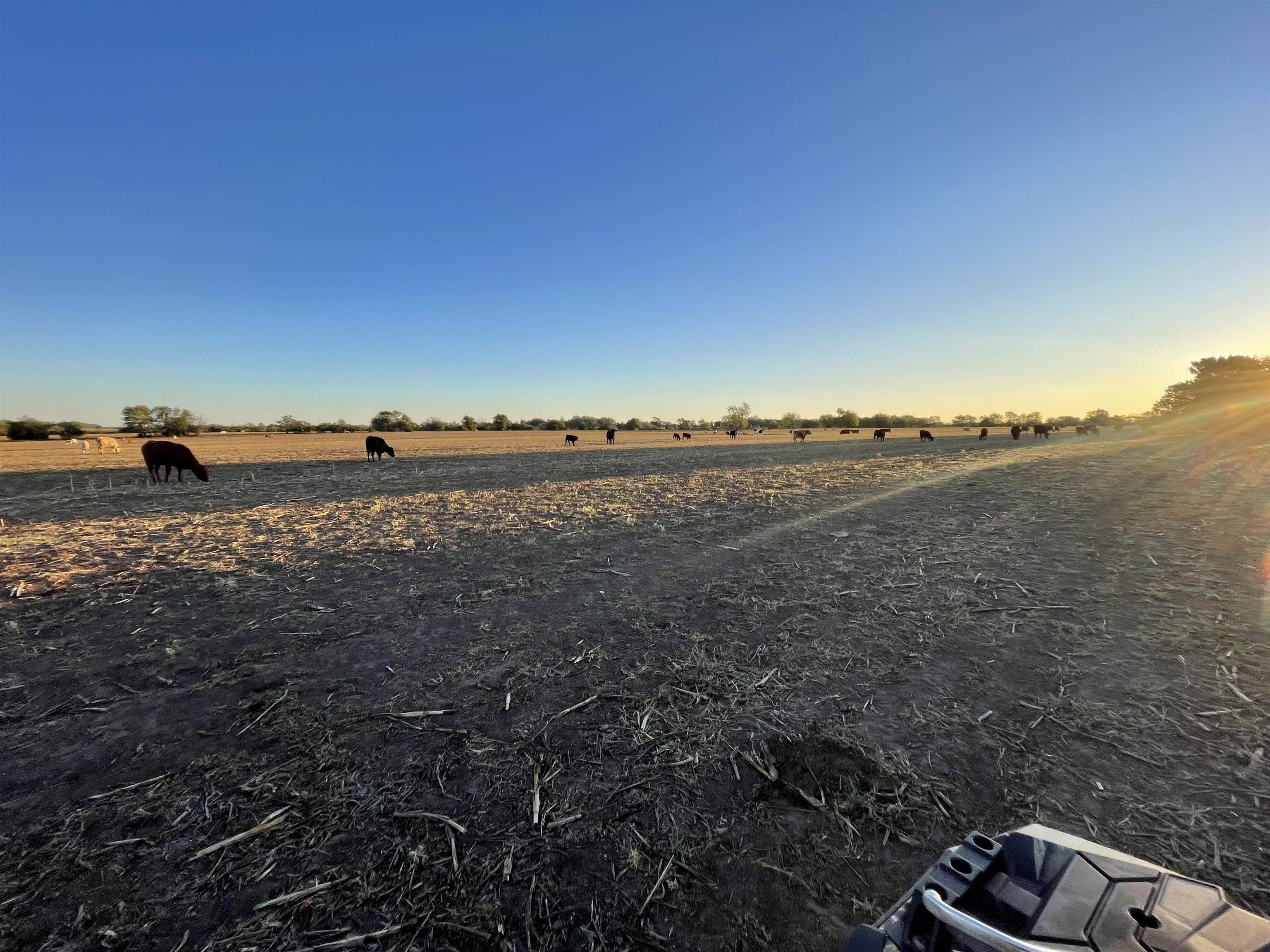 00000 SW Hwy 77, El Dorado, Kansas, 67042, United States, ,Residential,For Sale,00000 SW Hwy 77,1419987