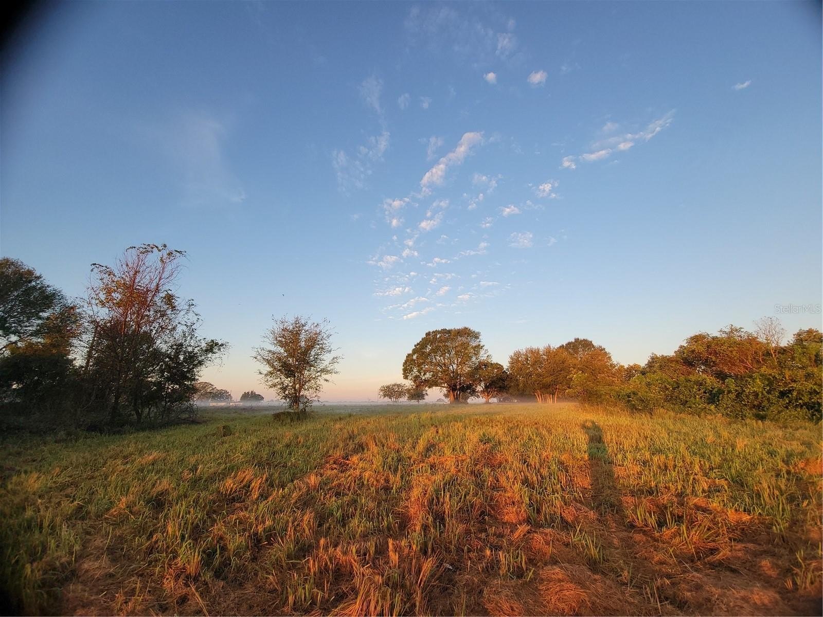 LAKE WALES, Florida, 33859, United States, ,Residential,For Sale,1945016