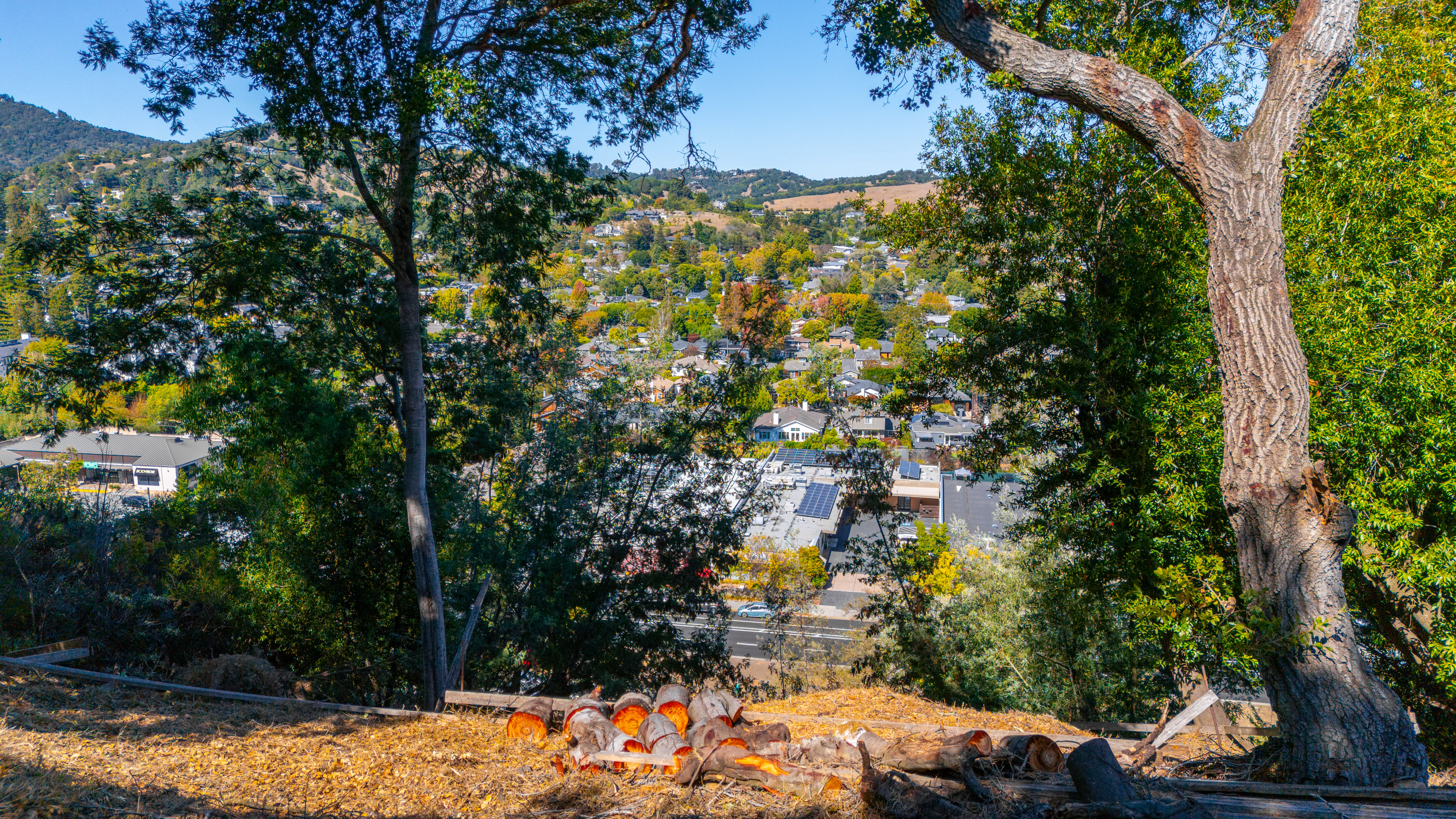  Exceptional Mill Valley Lot with Expired Approved Plans - 物件實景