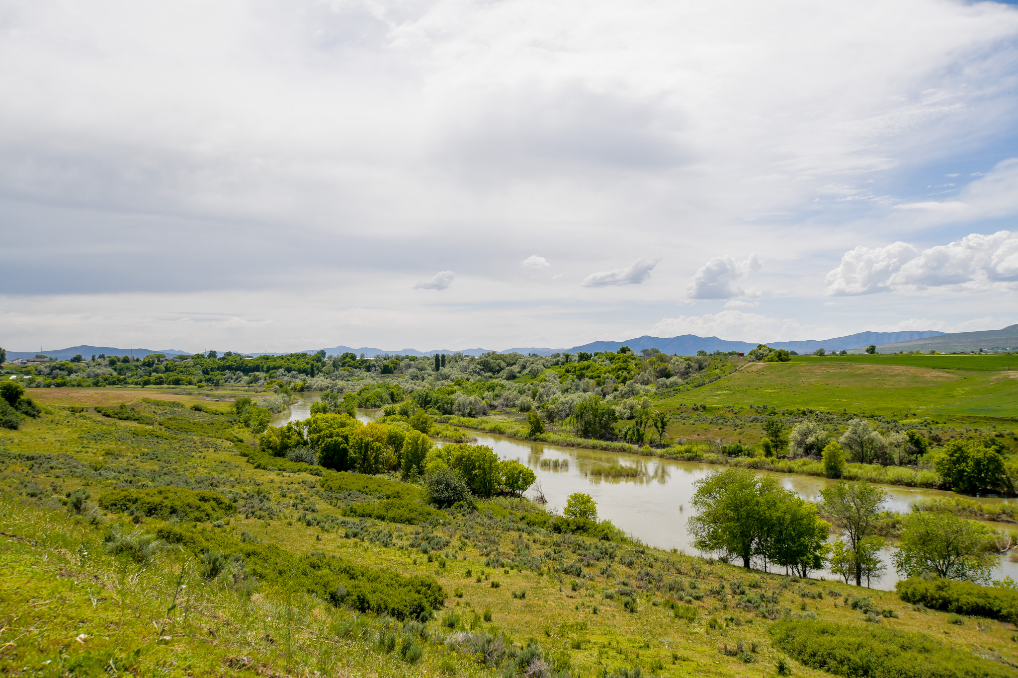 Deweyville, Utah, 84309, United States, ,Land,For Sale,1848401