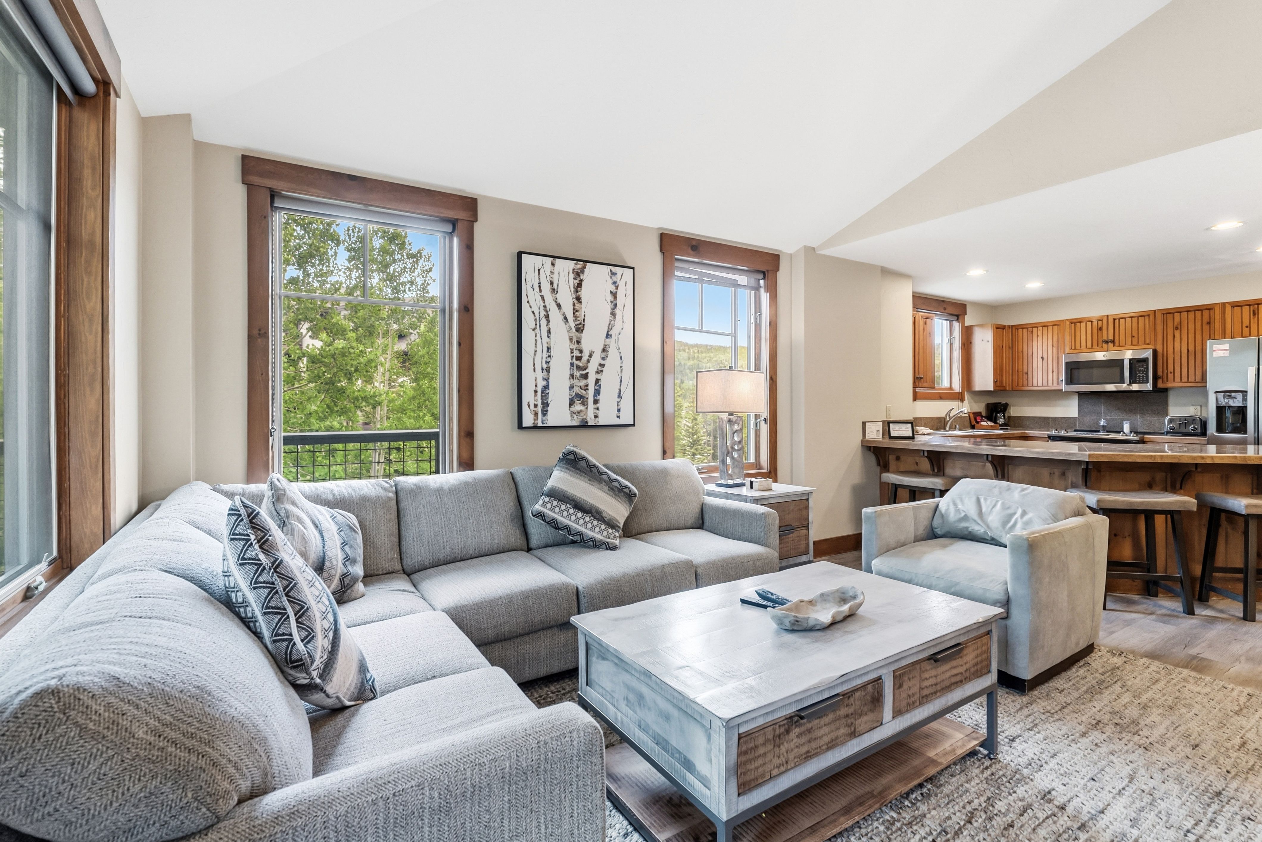  35 Mountain Thunder Drive, Breckenridge, CO, 80424 - 物件實景