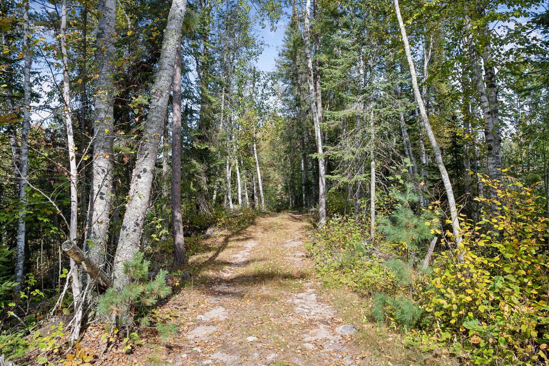  Private Wilderness Retreat Surrounded by National Forest - 物件實景