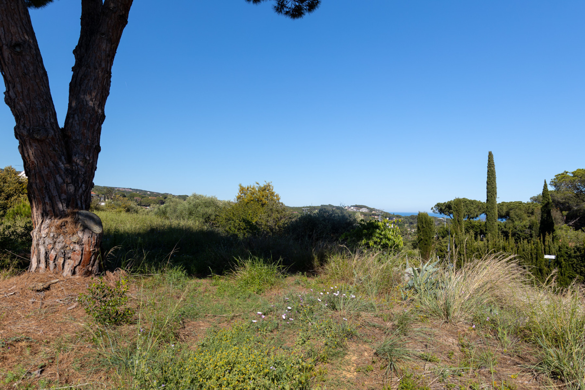  Plot with sea views in the center of Llavaneres - Costa BCN - 物件實景