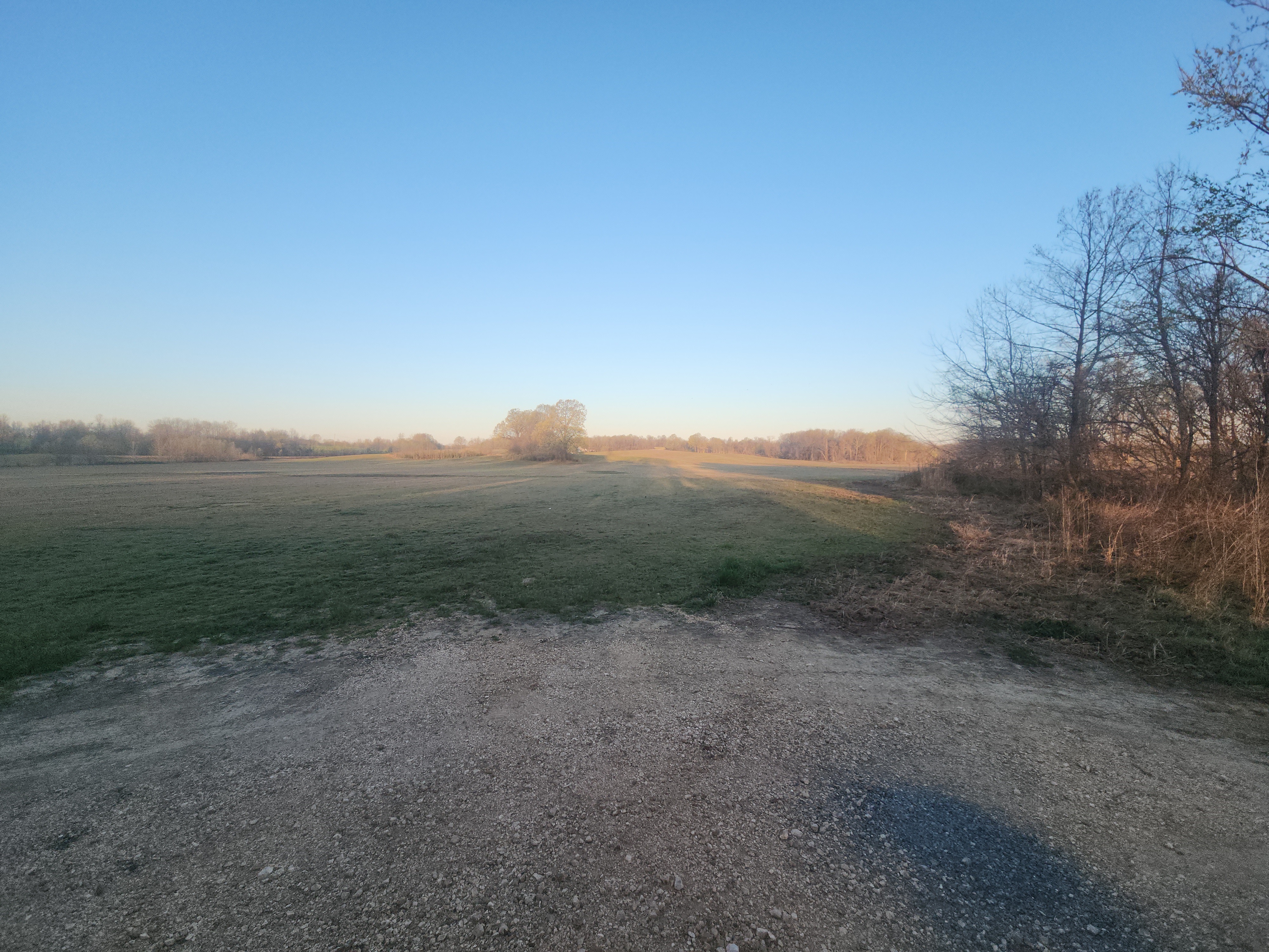 Union City, Tennessee, 38261, United States, ,Land,For Sale,1982811