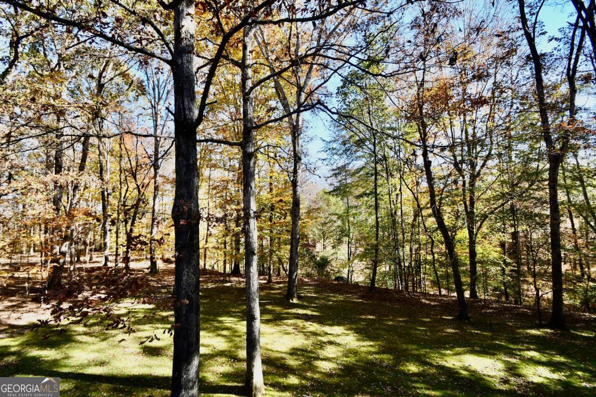 Athens, Georgia, 30607, United States, 5 Bedrooms Bedrooms, ,5 BathroomsBathrooms,Residential,For Sale,1993112