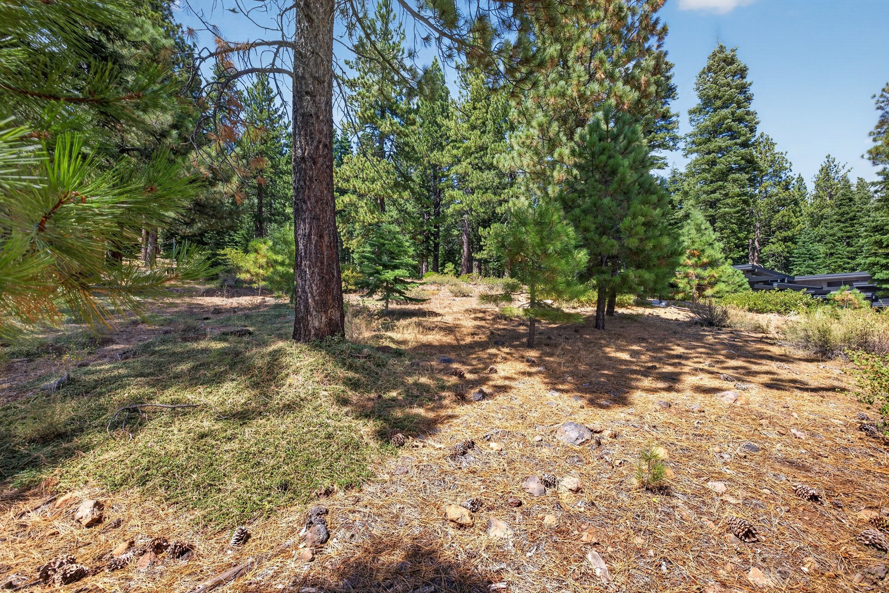  Half Acre, Privacy, and a Central Truckee Address - 物件實景