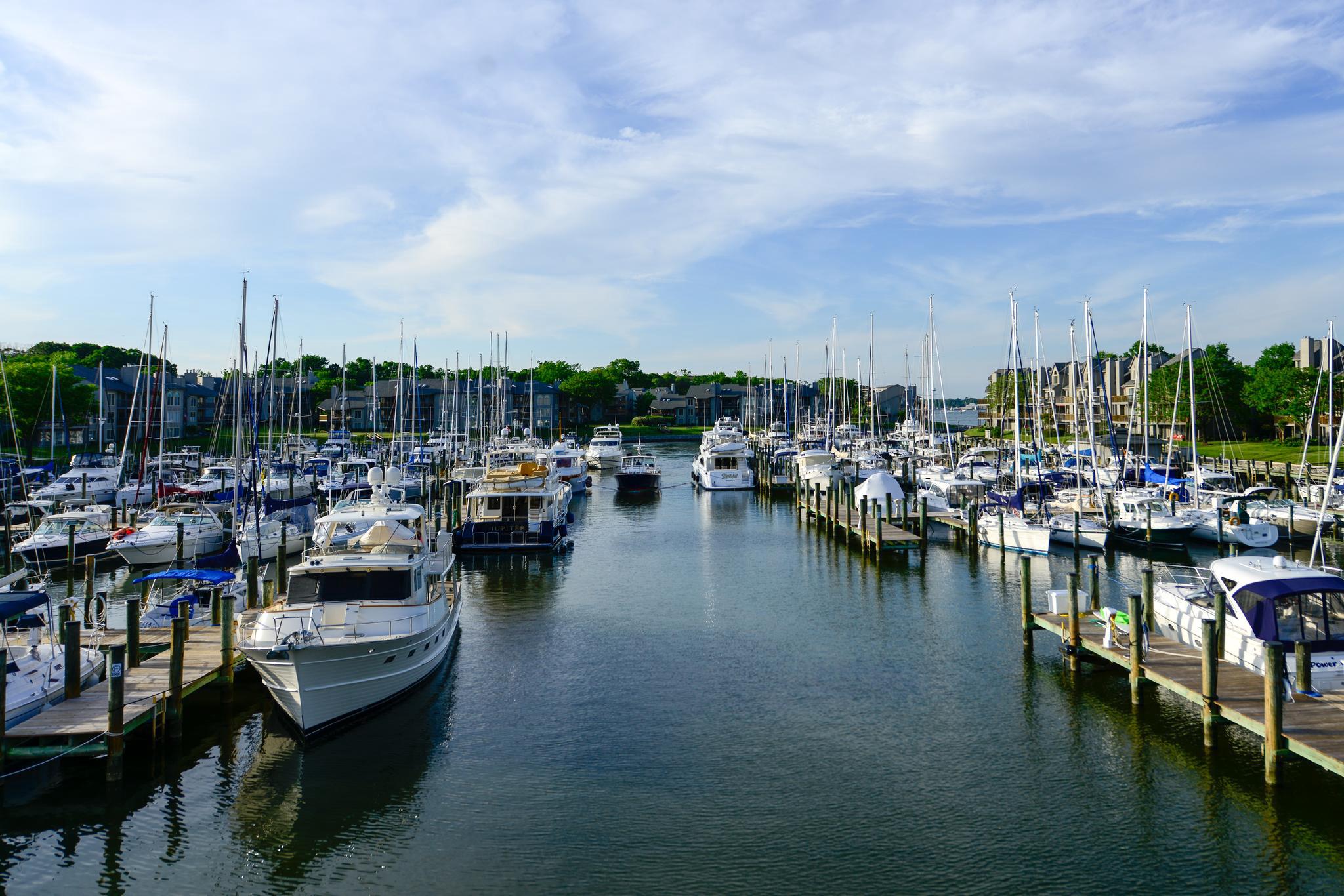  2127 Beach Village Court, Annapolis, MD, 21403 - 物件實景