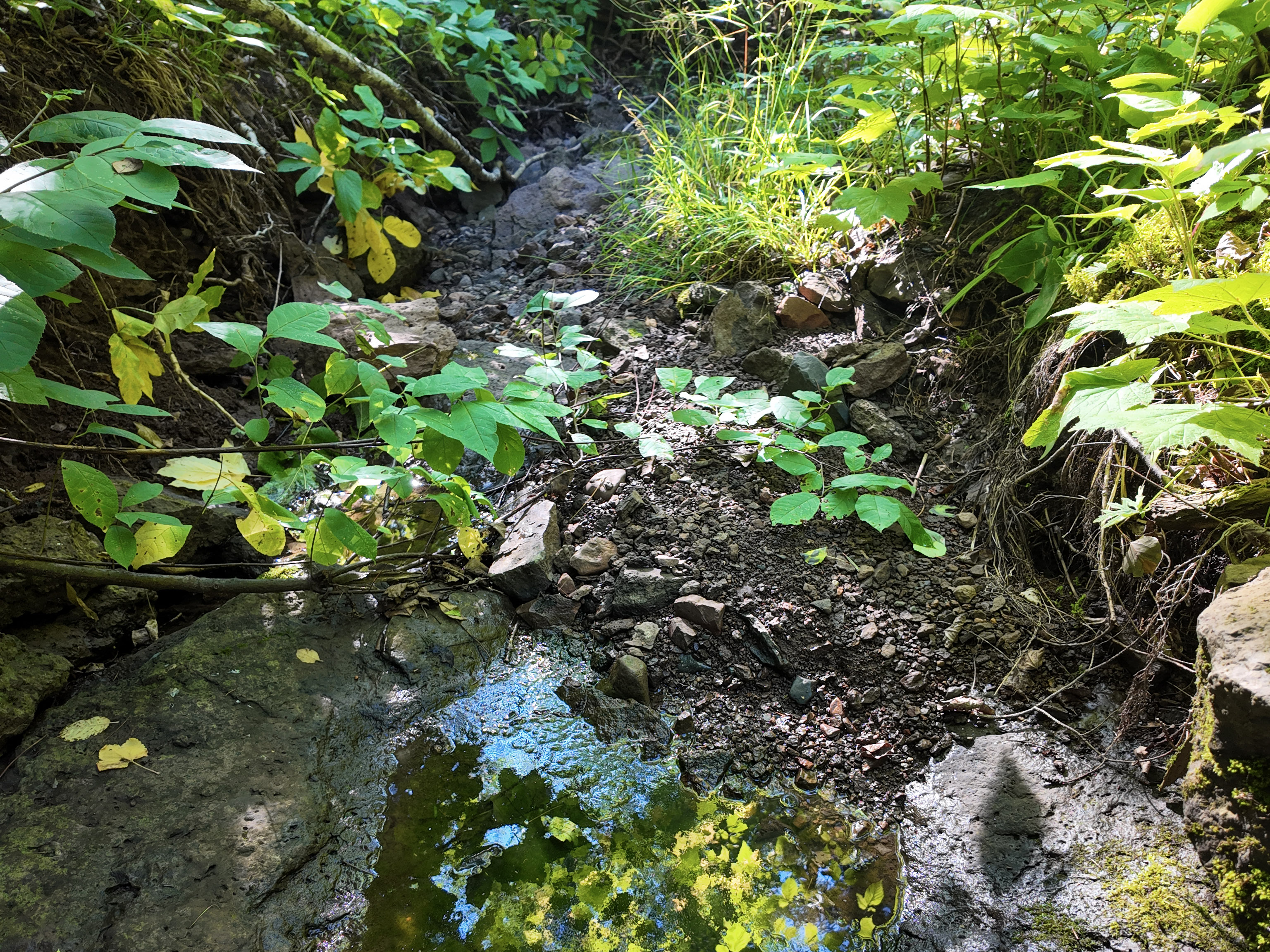  A Rare North Shore Homesite Near Grand Marais - 物件實景
